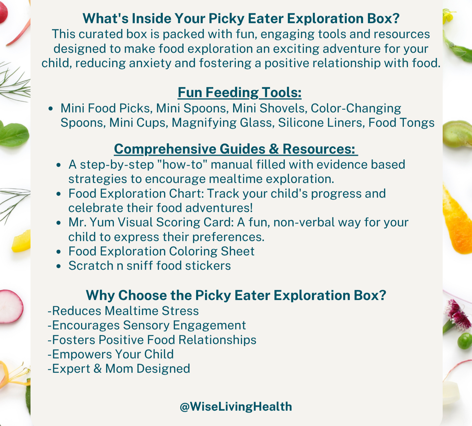 Food+Explorer+Box+Flyer.png
