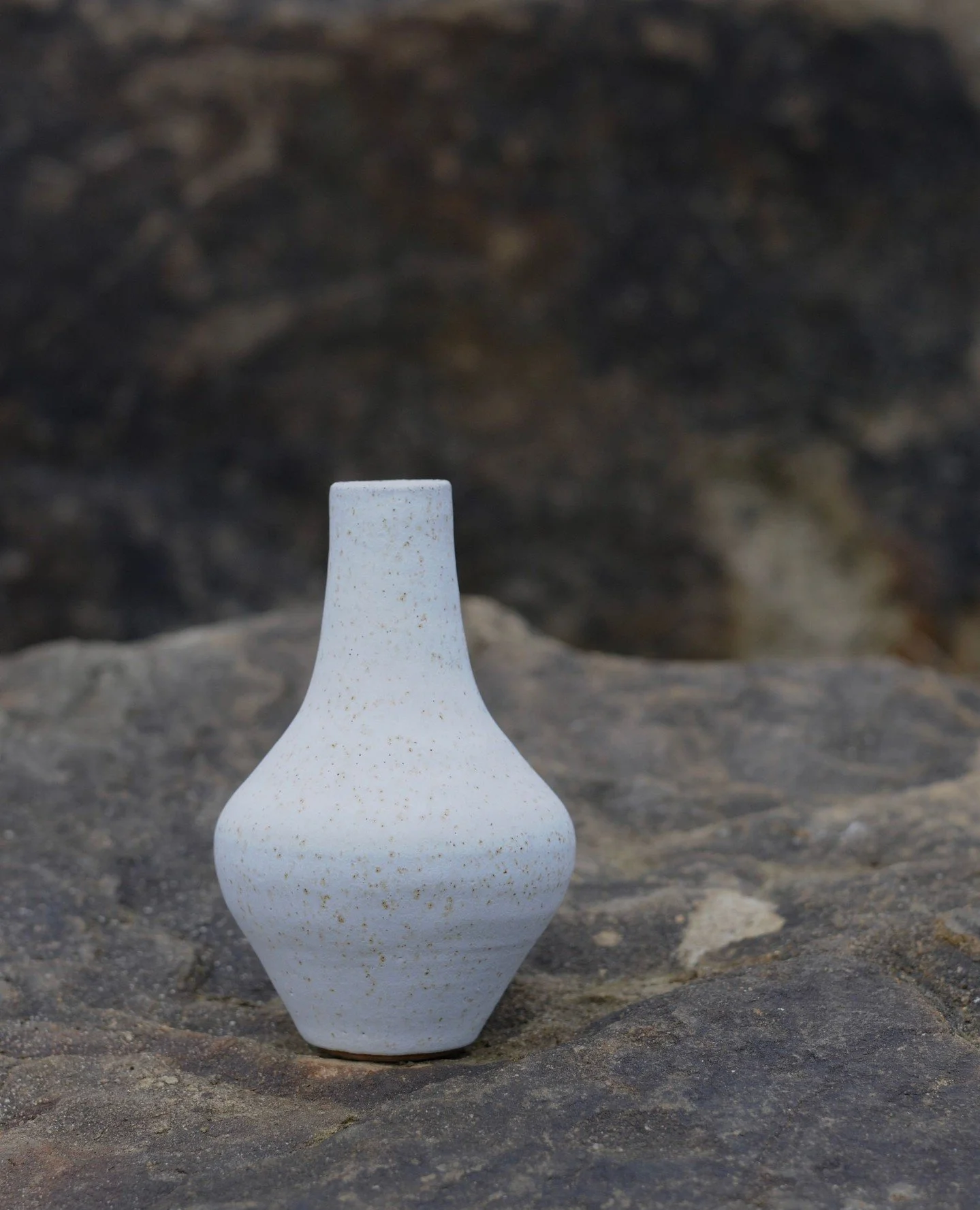 In Walden, Thoreau's challenge: 10 items for remote solitude
This small bud vase makes my list