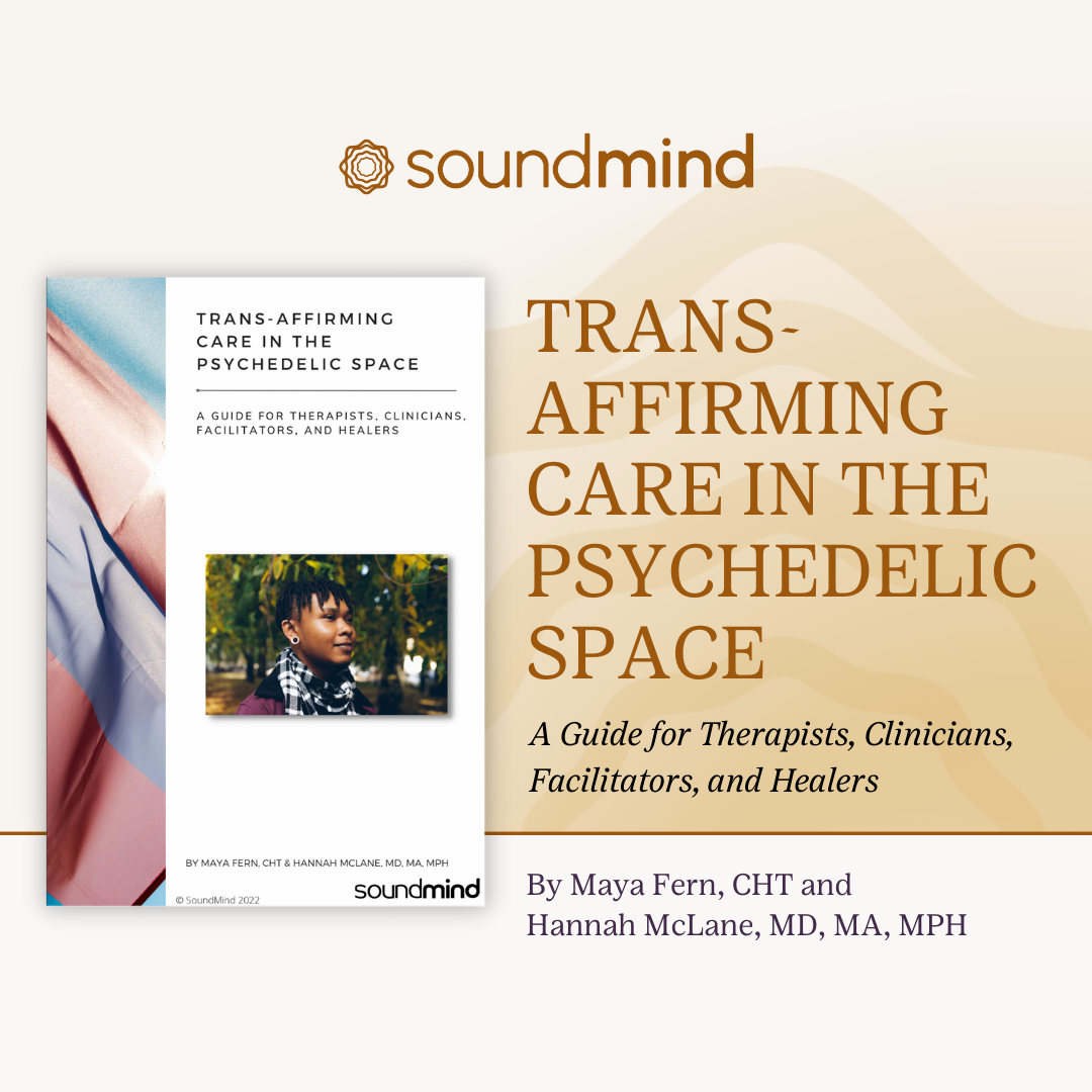 Psychedelics and Identity Initiative</a>