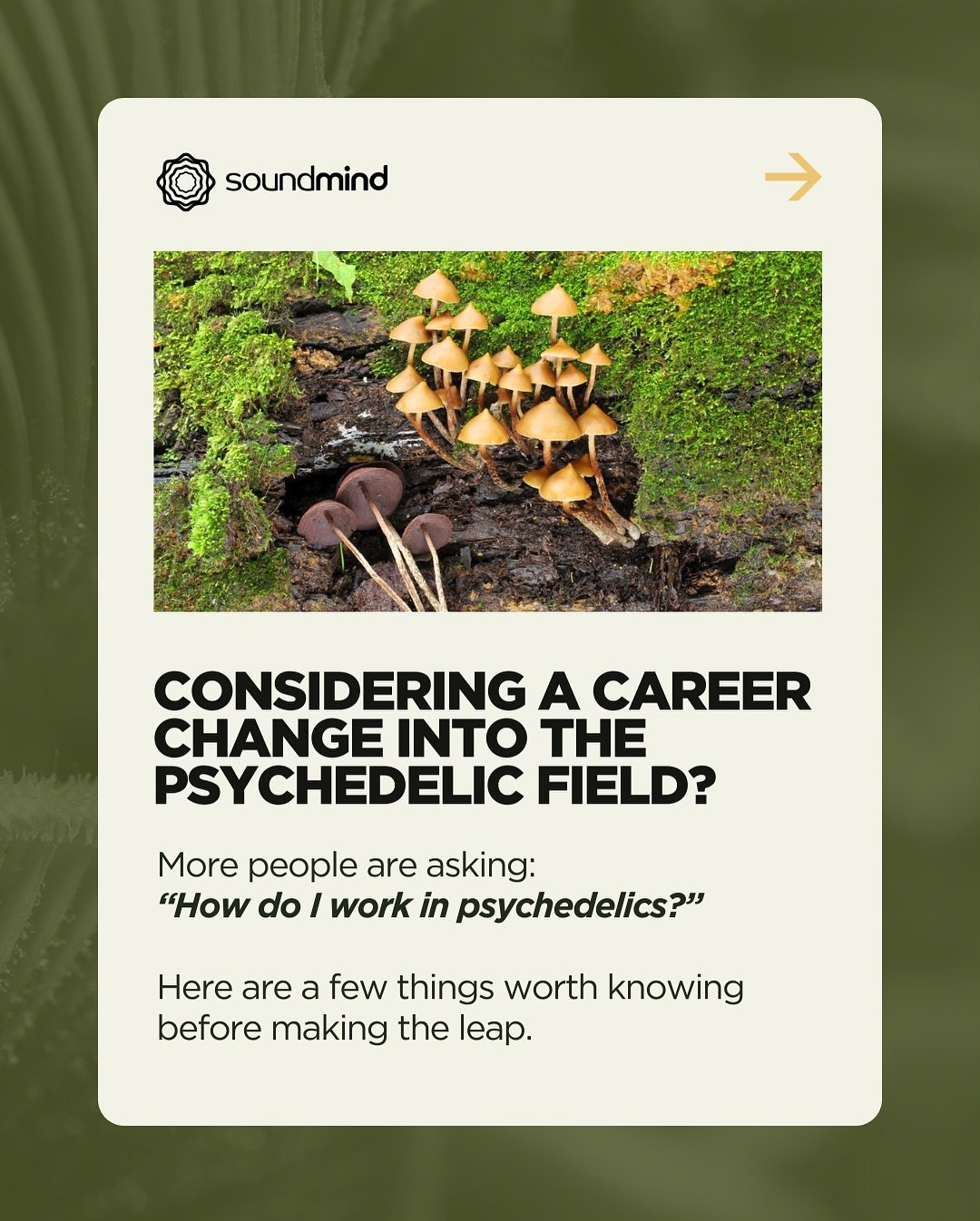 Interest in psychedelic careers is growing quickly, especially in states like Colorado where new legal frameworks are emerging.

Under the Natural Medicine Health Act, Colorado created a licensed role called a Natural Medicine Facilitator, allowing t