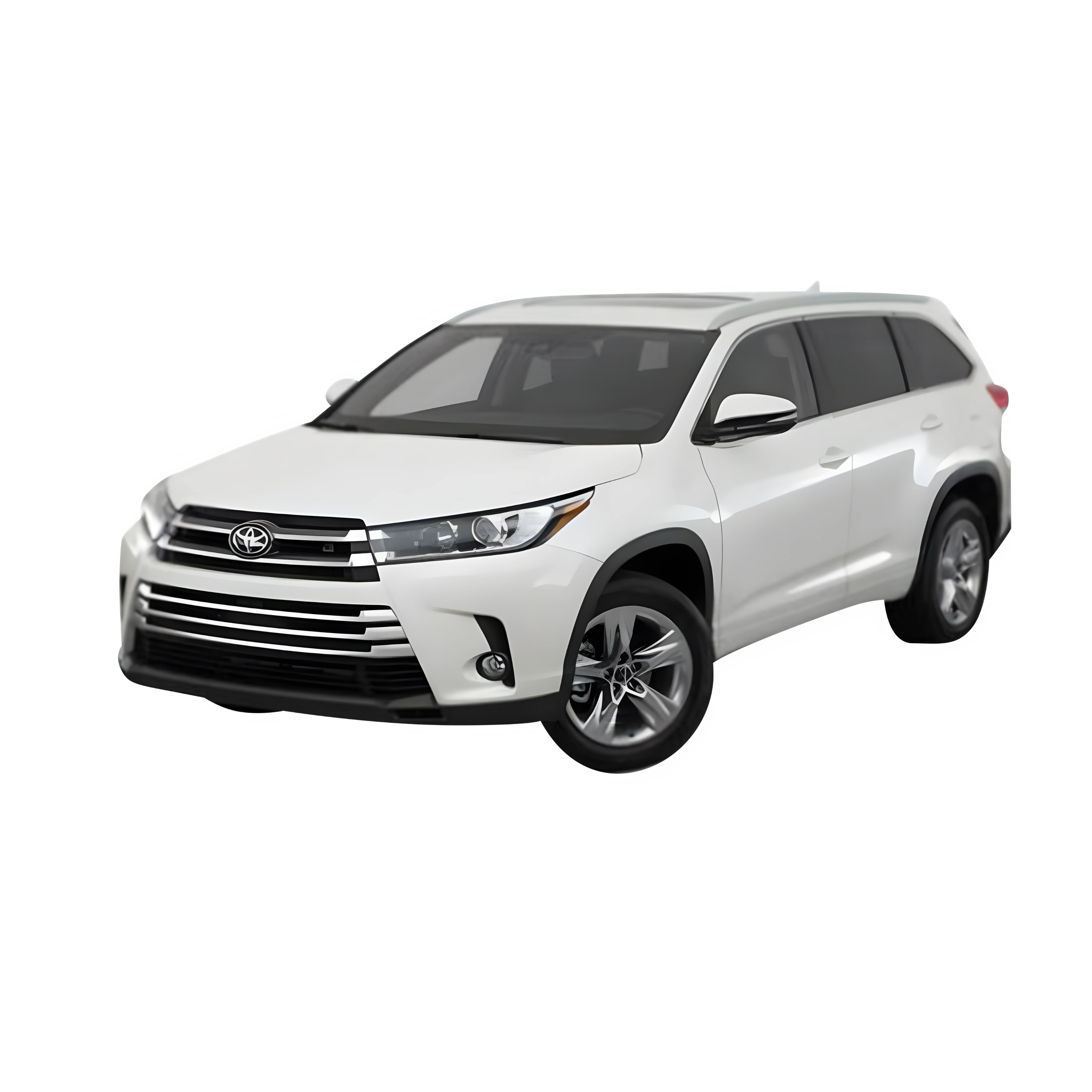 WHITE HIGHLANDER.png