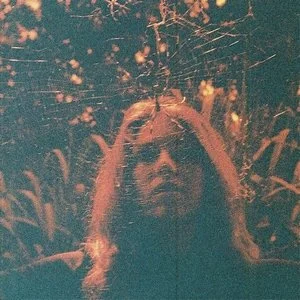 Peripheral Vision • Turnover • 2015