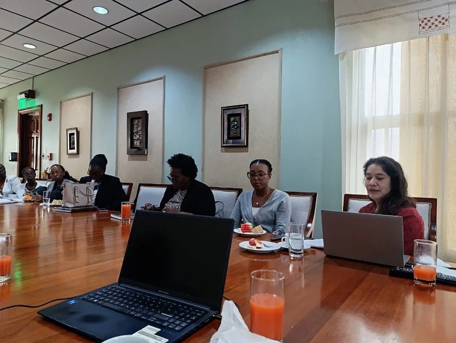 Directors of planning working sessions CLEAR-LAC Jamaica.jpg