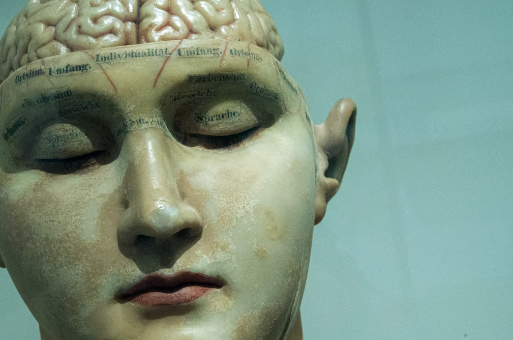 Neuroscience of Caregiving