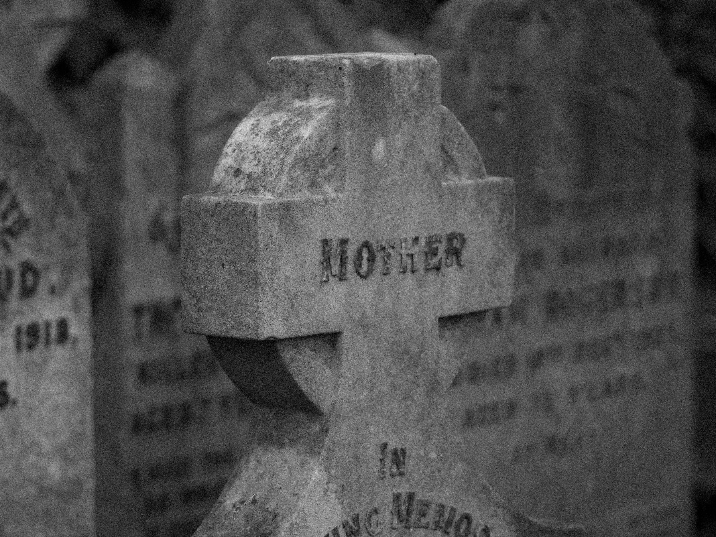 The Grieving Brain