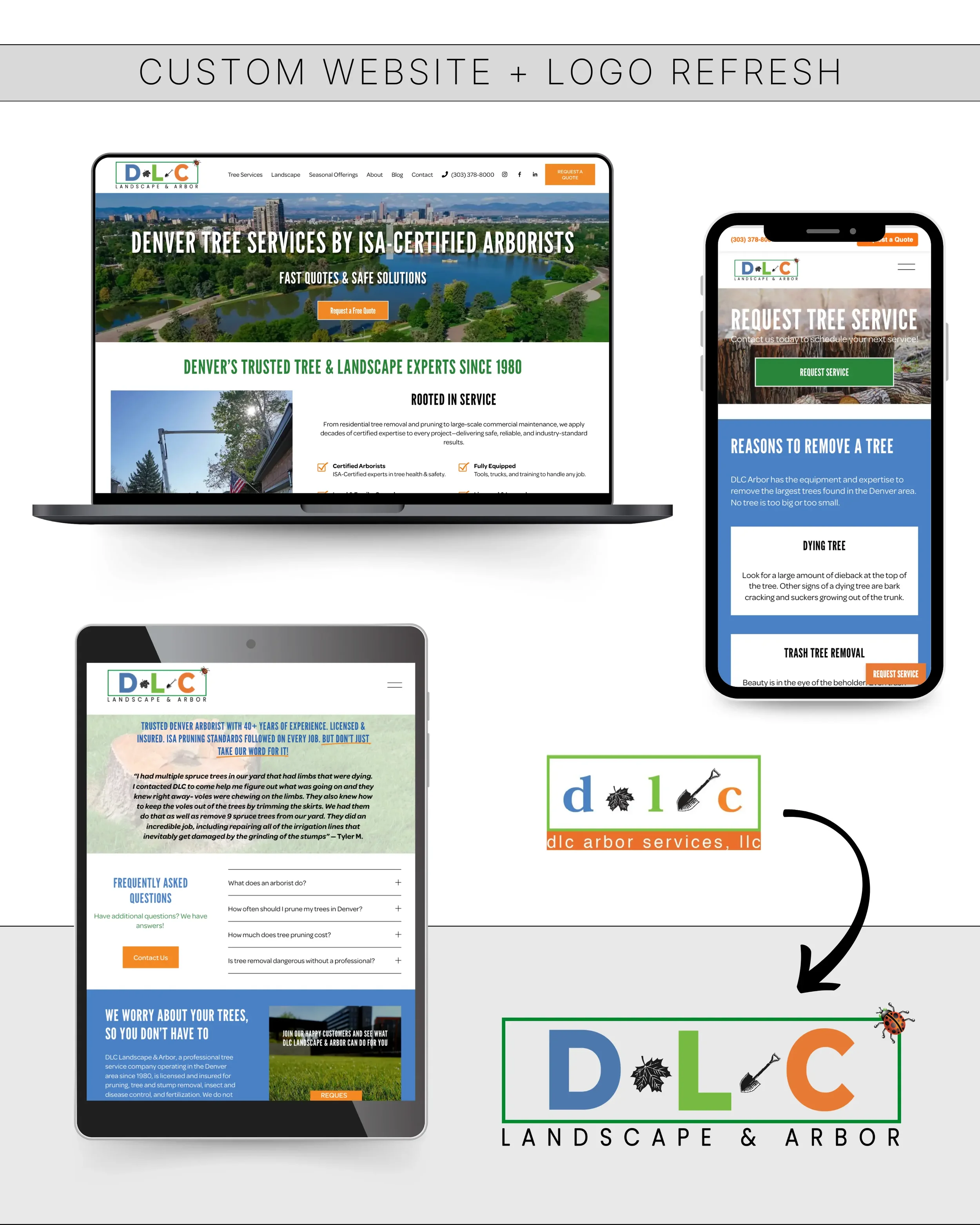 DLC Website Logo.webp