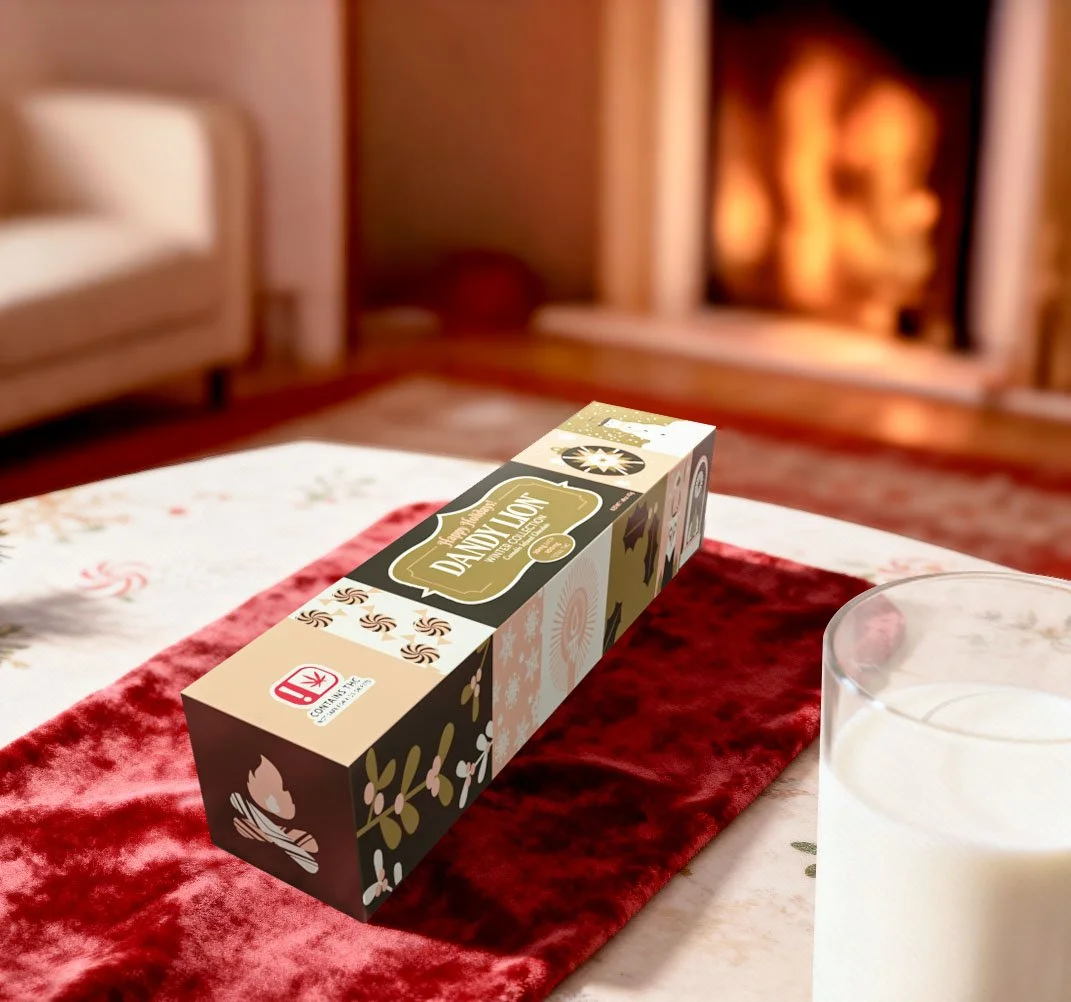 holiday-box-Camera copy.jpg