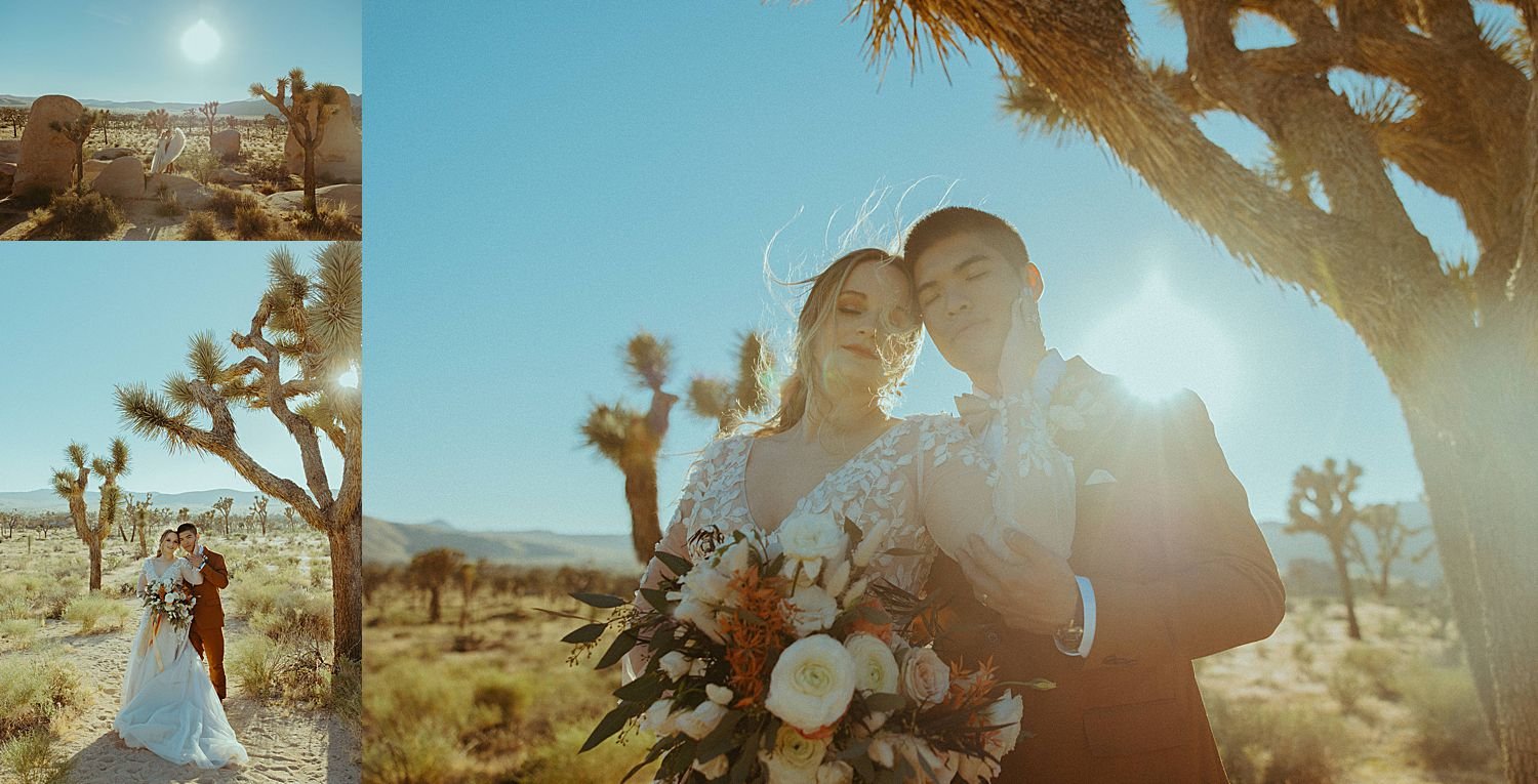 joshua-tree-ca-elopement_6152.jpg