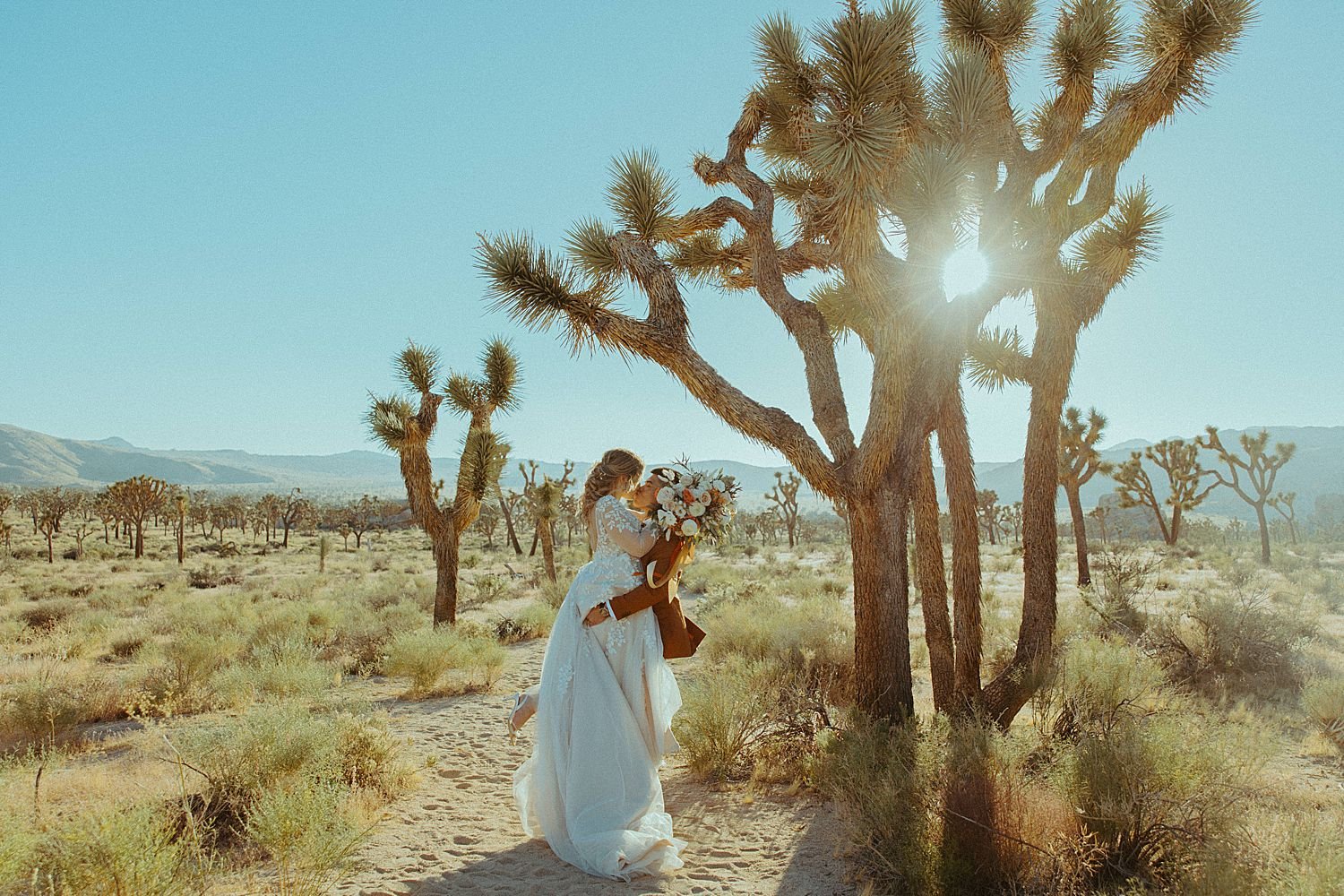 joshua-tree-ca-elopement_6153.jpg