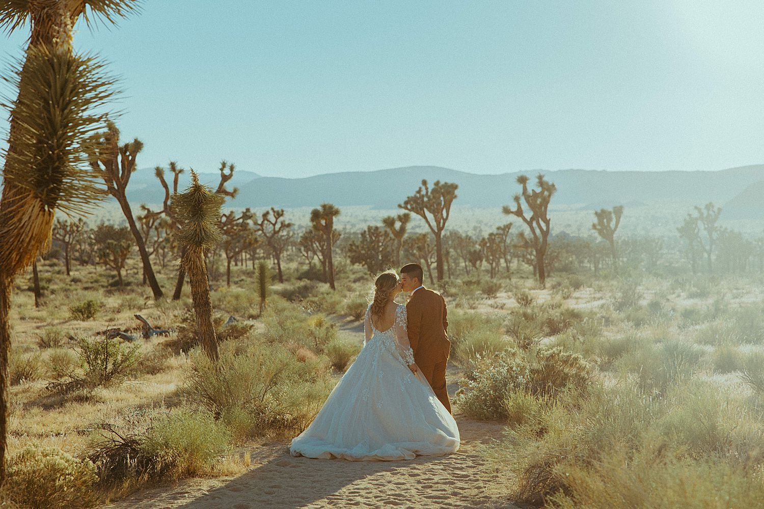 joshua-tree-ca-elopement_6160.jpg