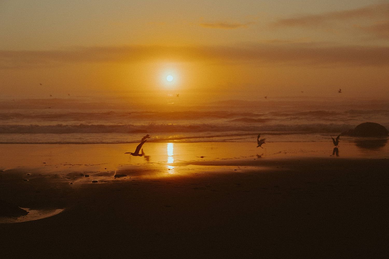 lincolon-city-oregon-coast-engagement-shoot_5840.jpg