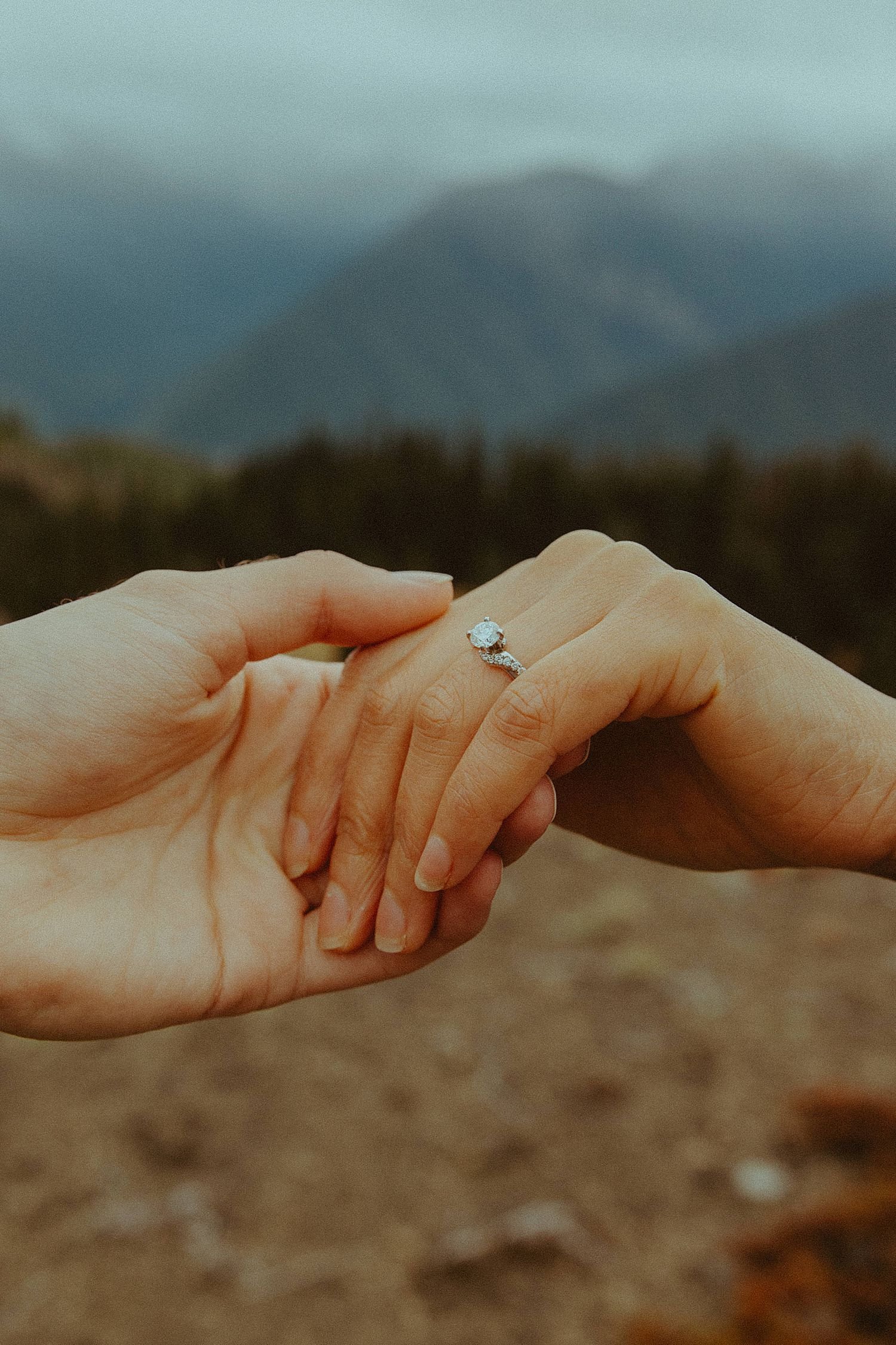 olympic-national-park-engagement-photos_5886.jpg