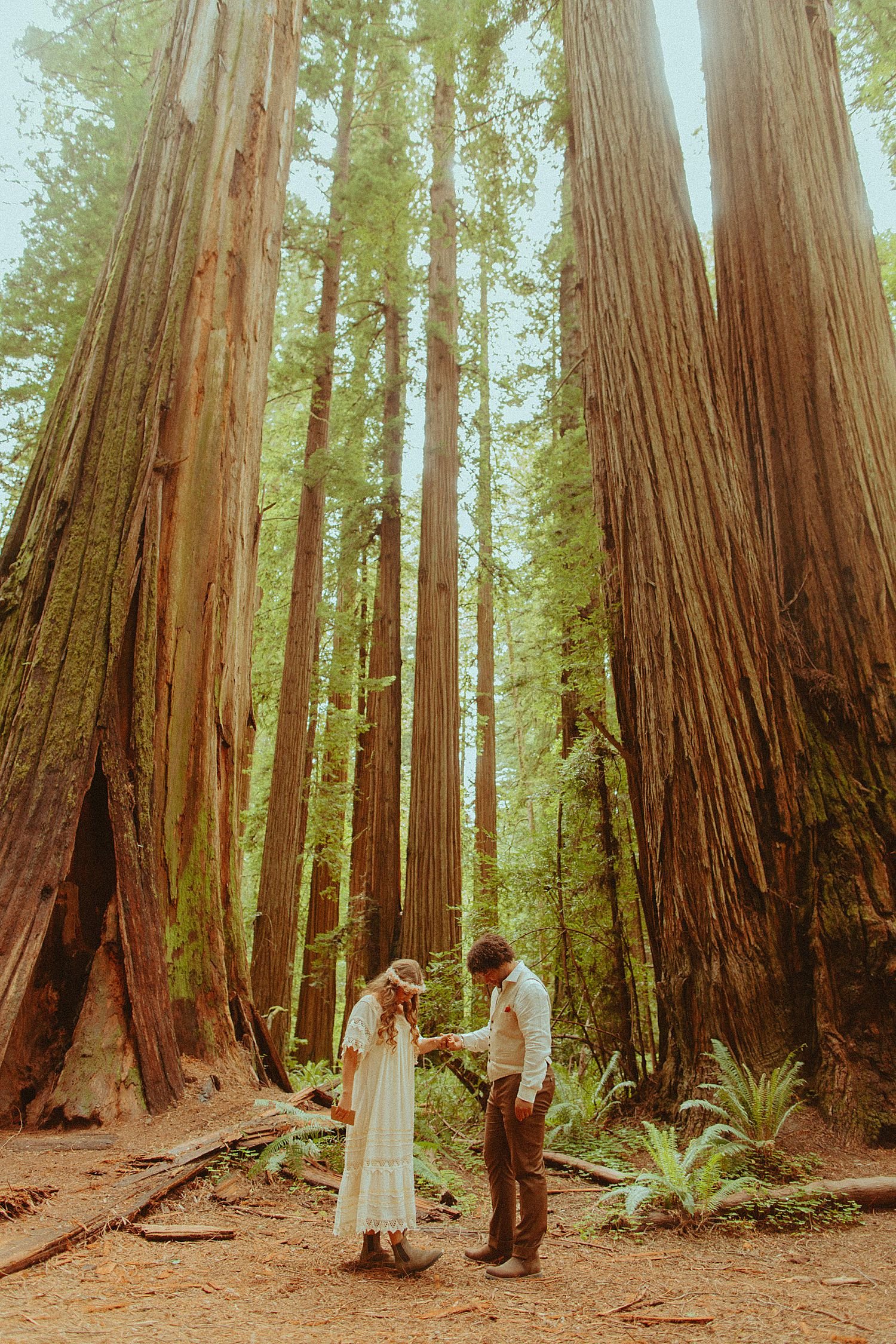 redwoods-elopement-oregon-coast-micro-wedding_3602.jpg