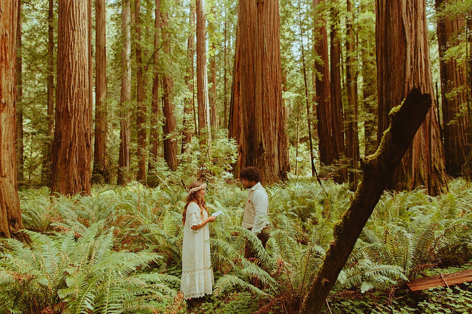redwoods-elopement-oregon-coast-micro-wedding_3604.jpg