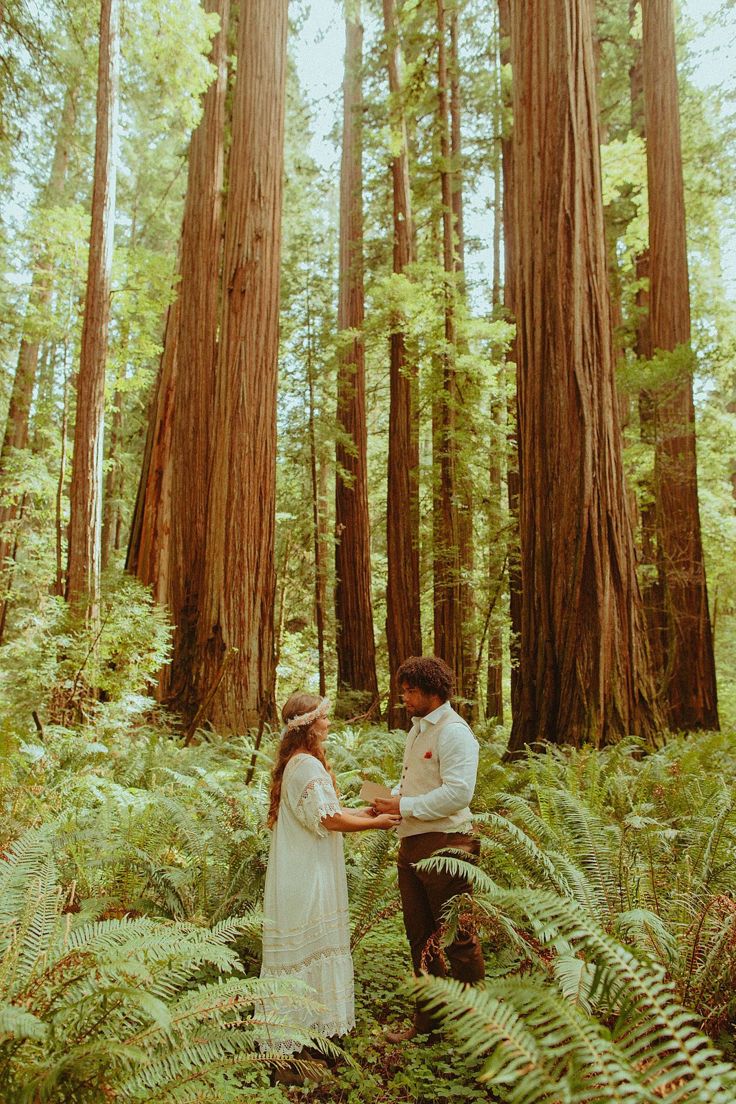 redwoods-elopement-oregon-coast-micro-wedding_3606.jpg