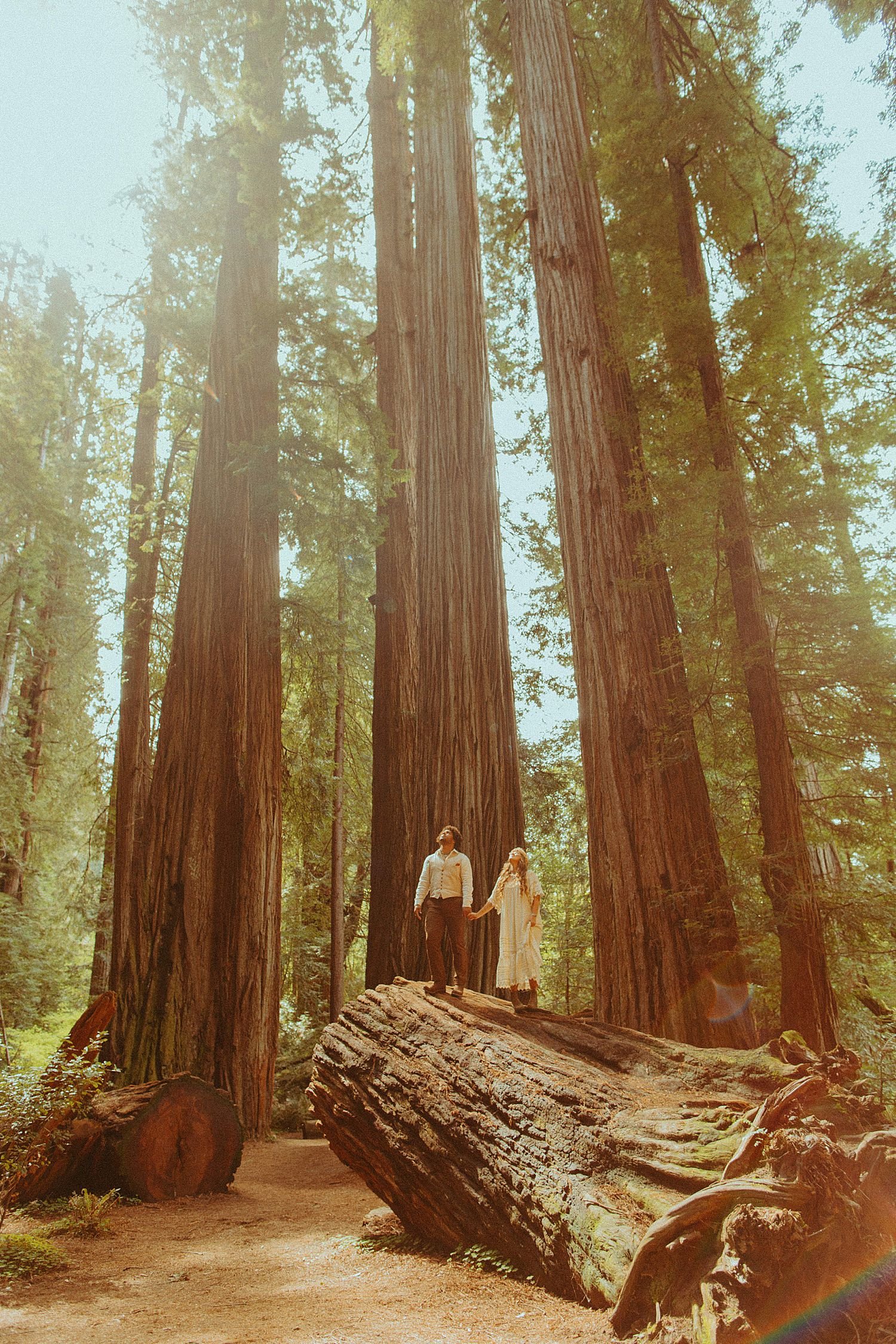 redwoods-elopement-oregon-coast-micro-wedding_3624.jpg