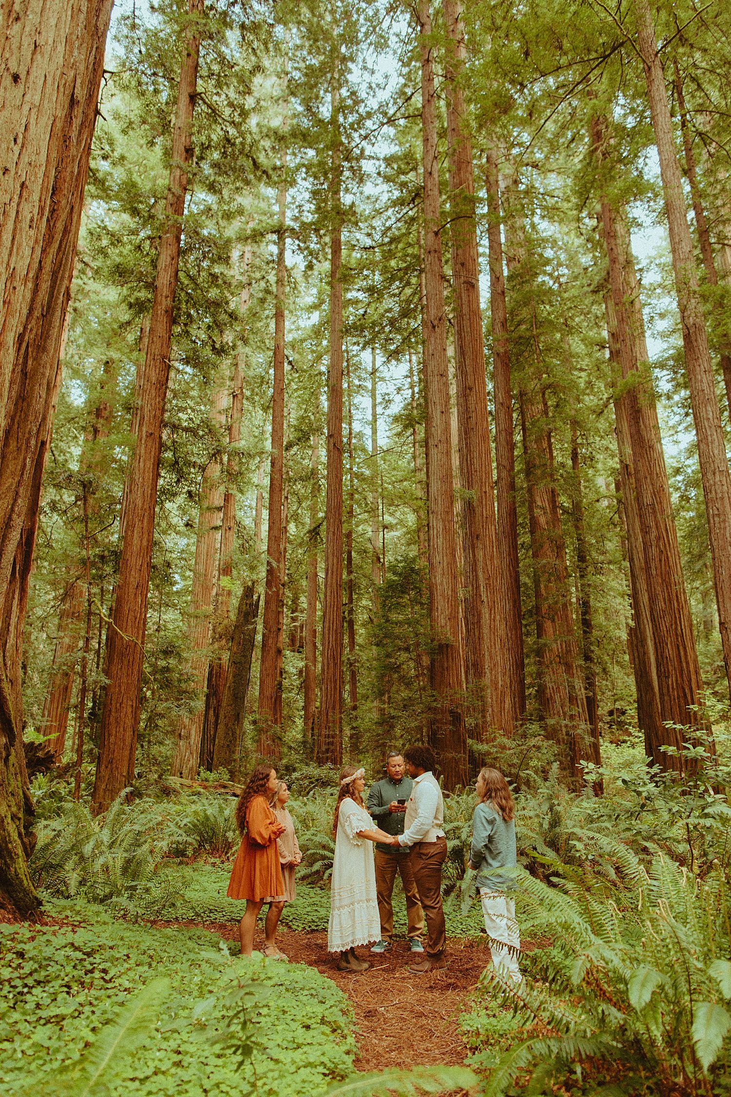 redwoods-elopement_3654.jpg