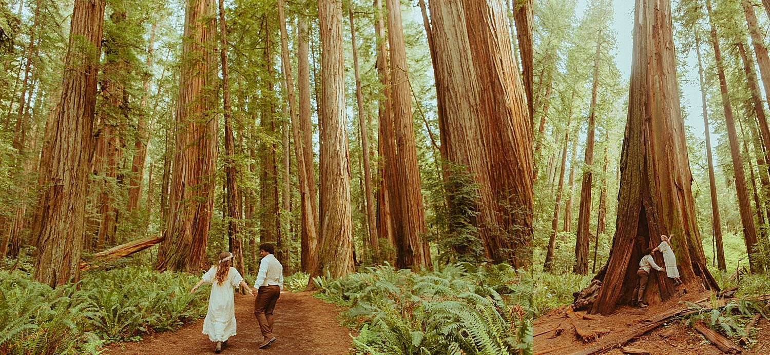 redwoods-elopement_3668.jpg