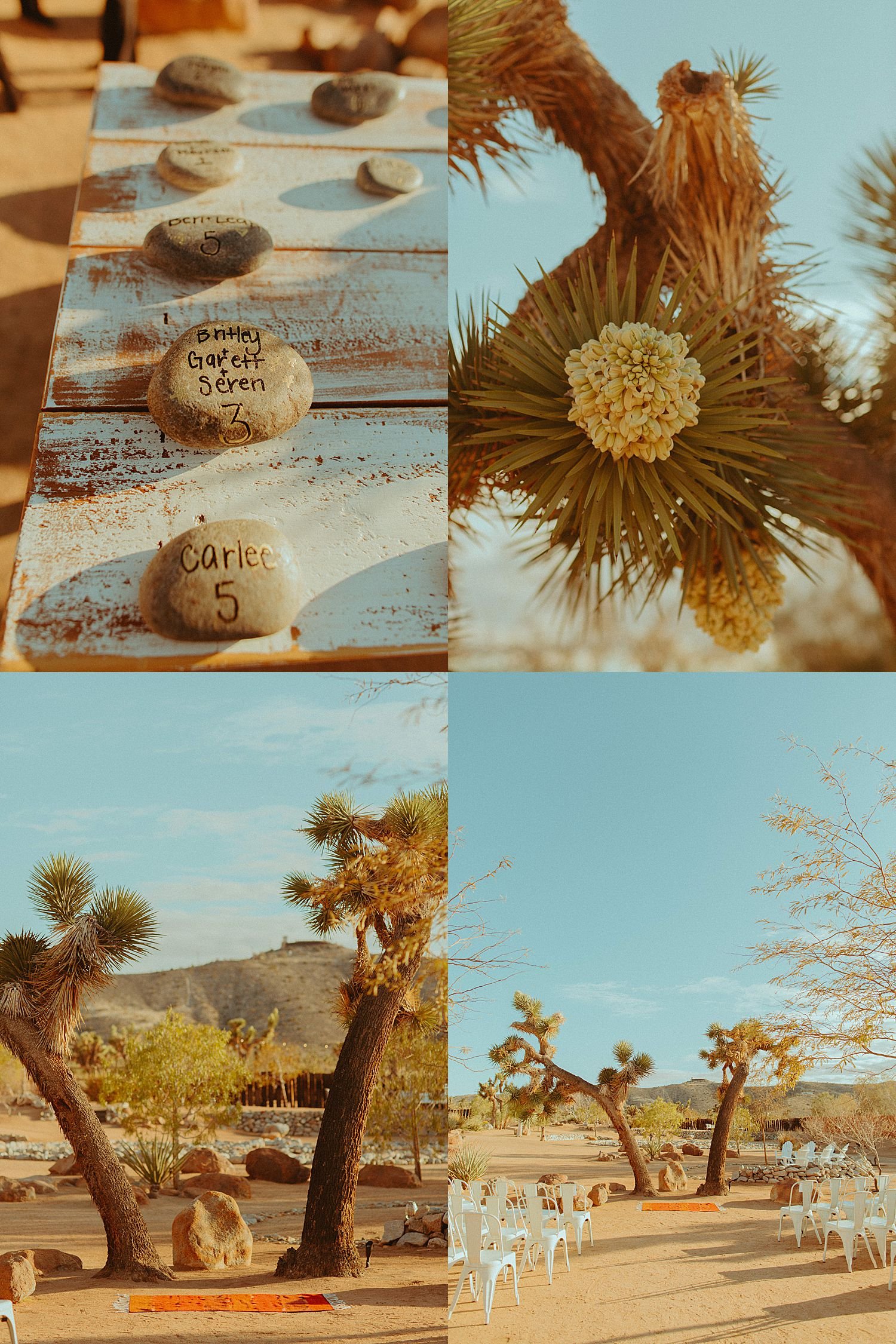 tumbleweed-sanctuary-wedding-joshua-tree_3182.jpg