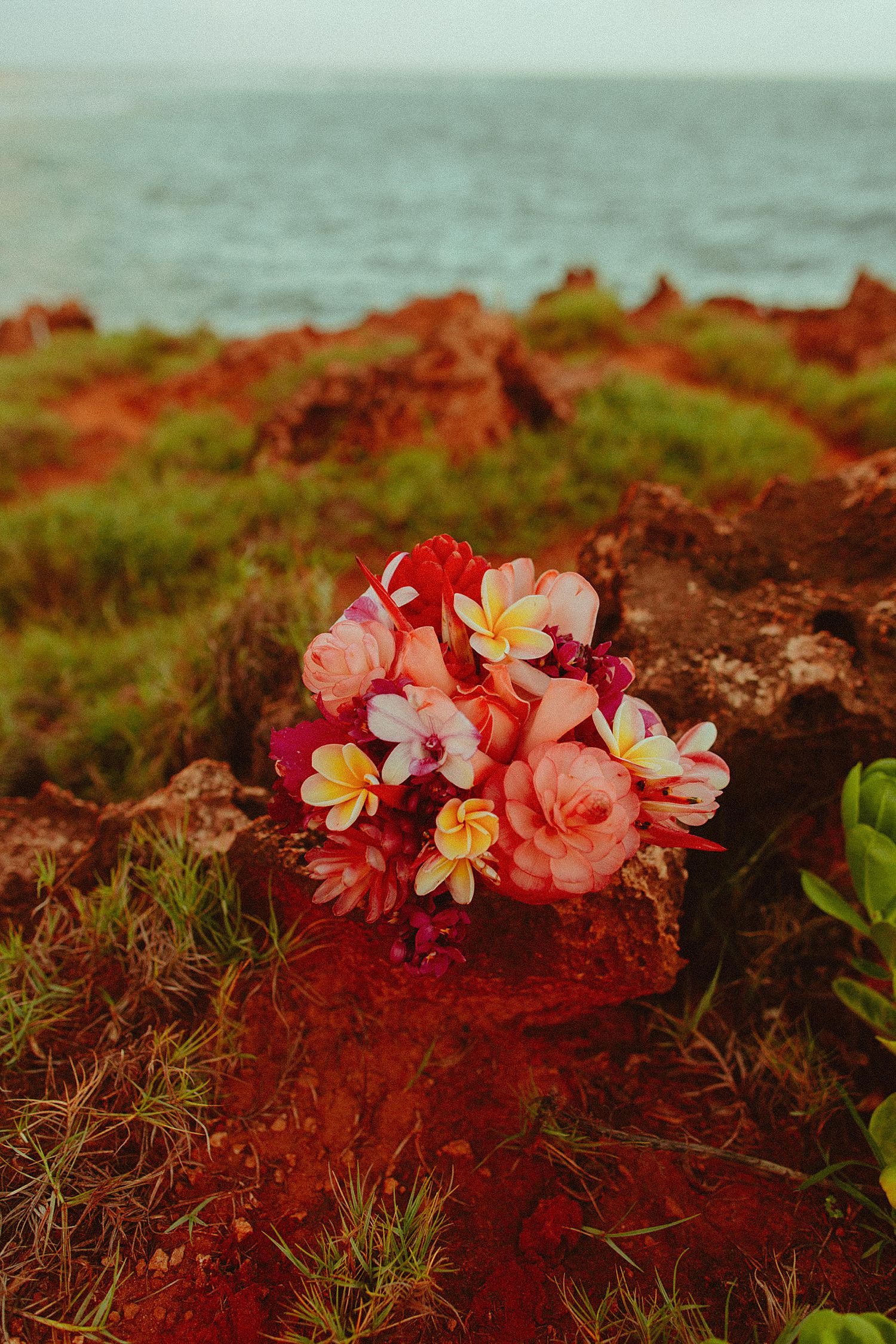 kauai-beach-elopement-photographer_8446.jpg