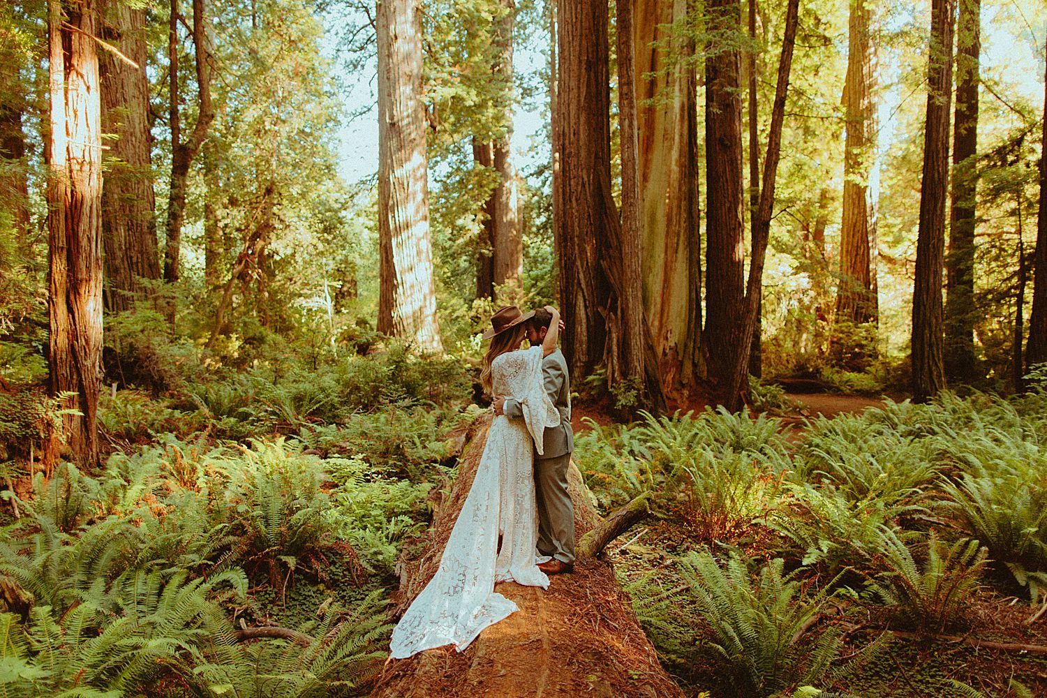 redwoods-elopement_7095.jpg