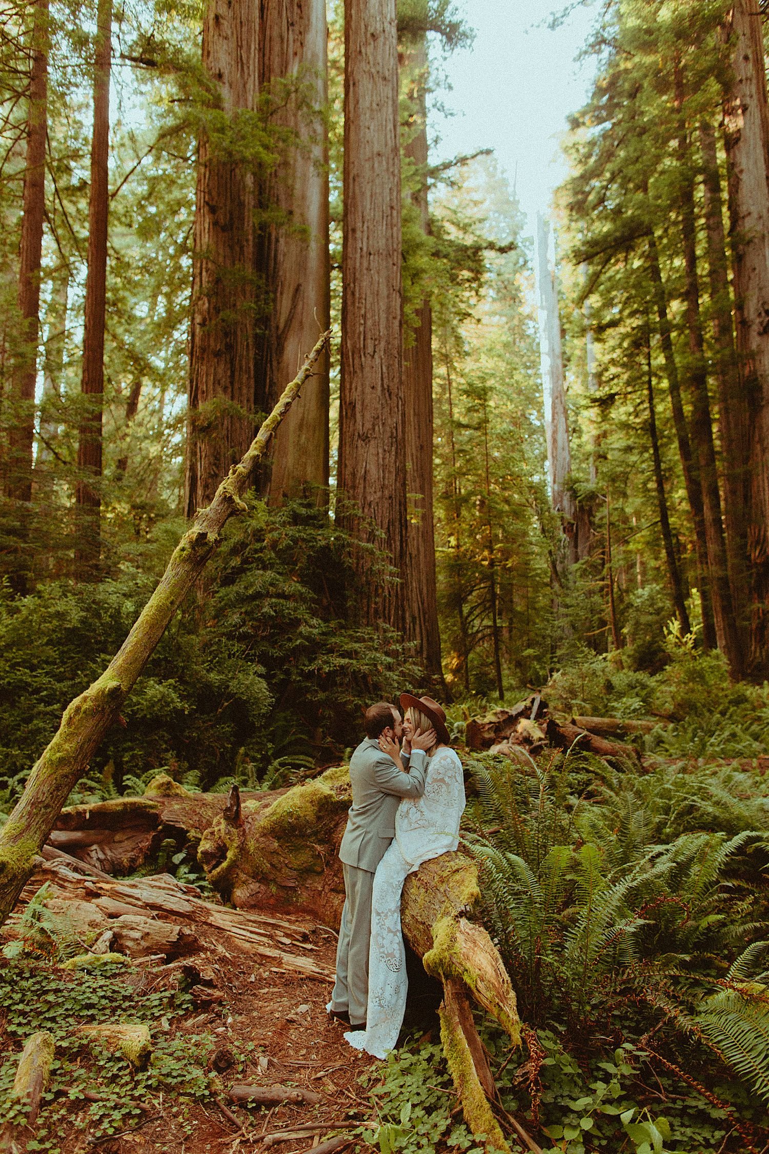 redwoods-elopement_7105.jpg