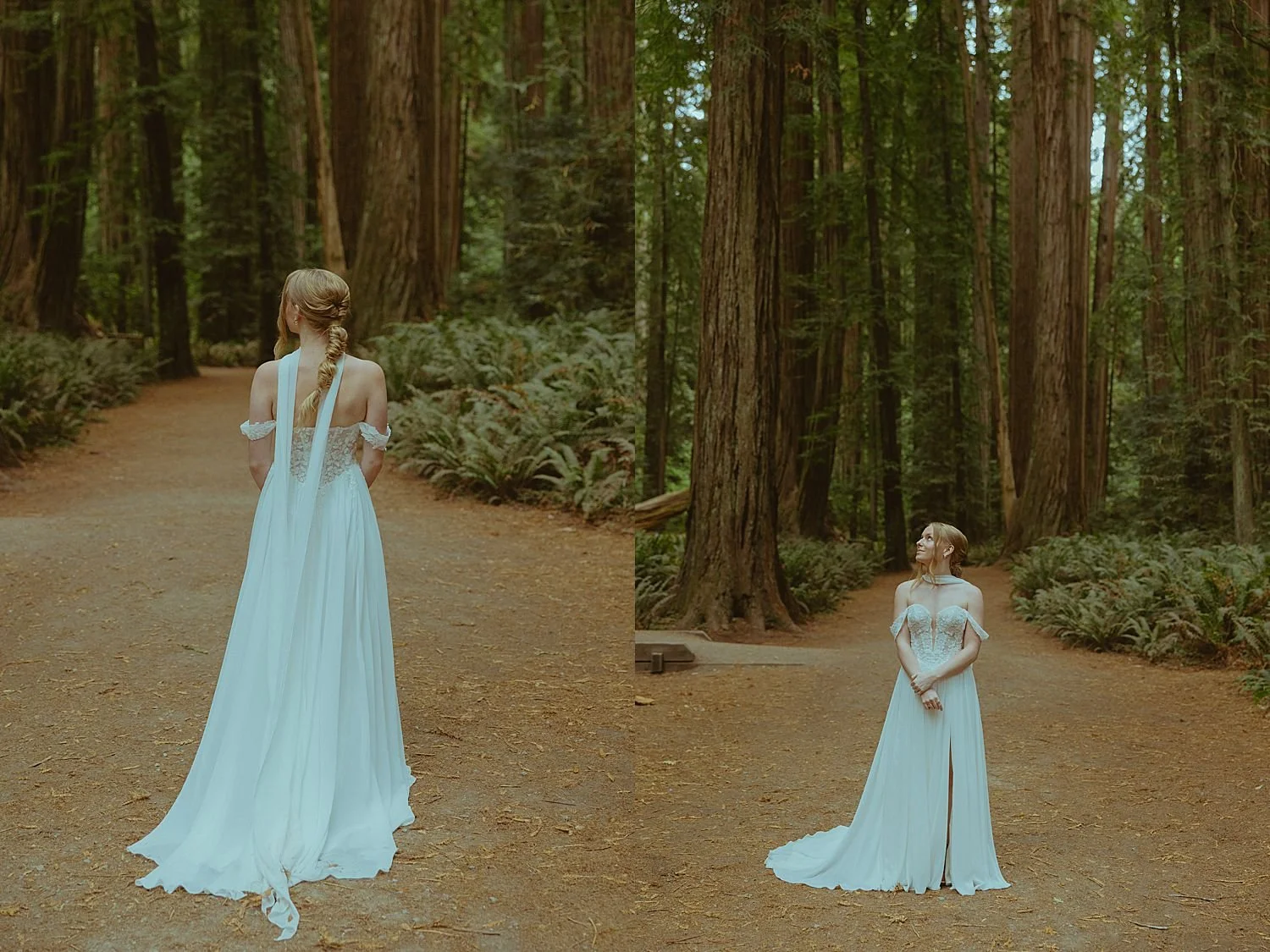 whimsical-redwoods-elopement_1418.jpg