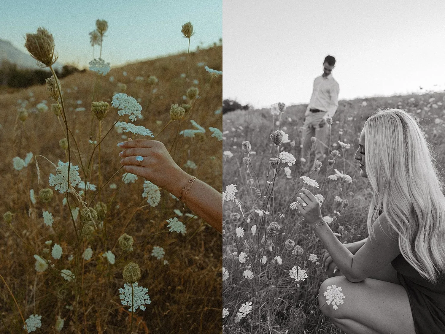 north-bonneville-engagement-photos-hamilton-island_1629.jpg