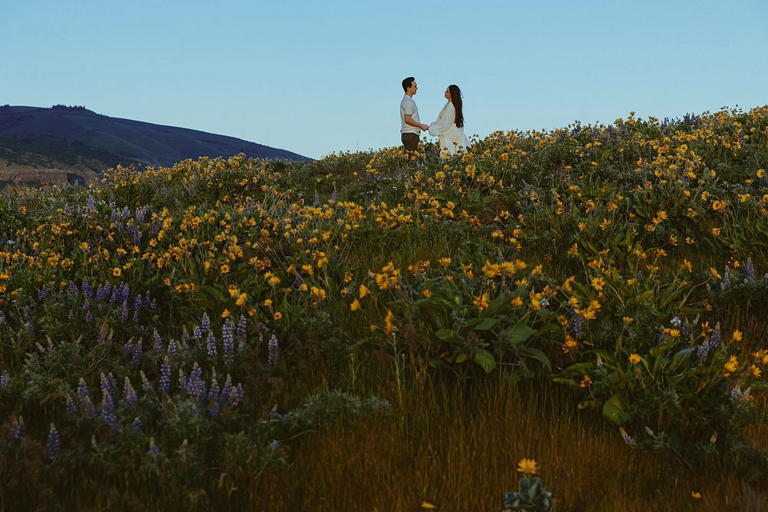rowena-crest-wildflower-engagement-photos_1744.jpg