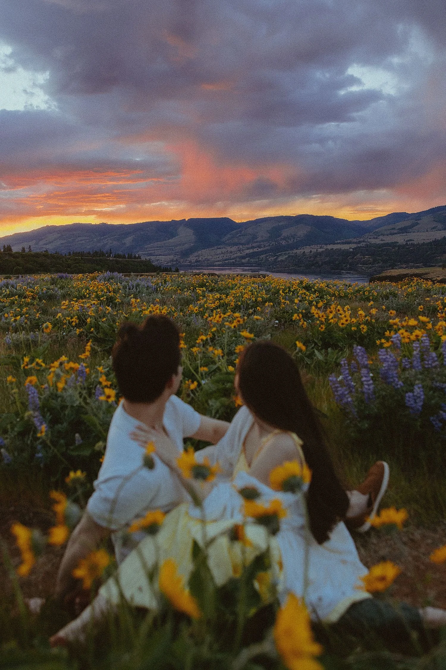 Rowena Crest Wildflower Engagement Session
