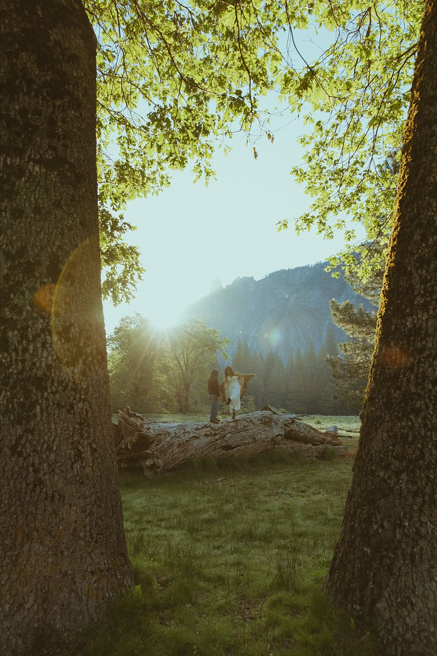 yosemite-engagement-photos_1795.jpg
