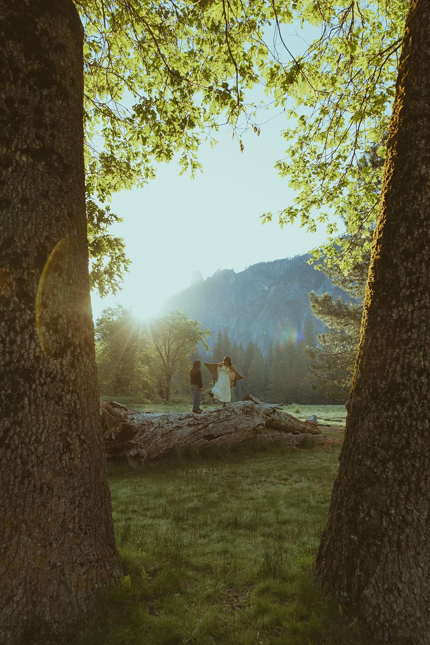 yosemite-engagement-photos_1796.jpg