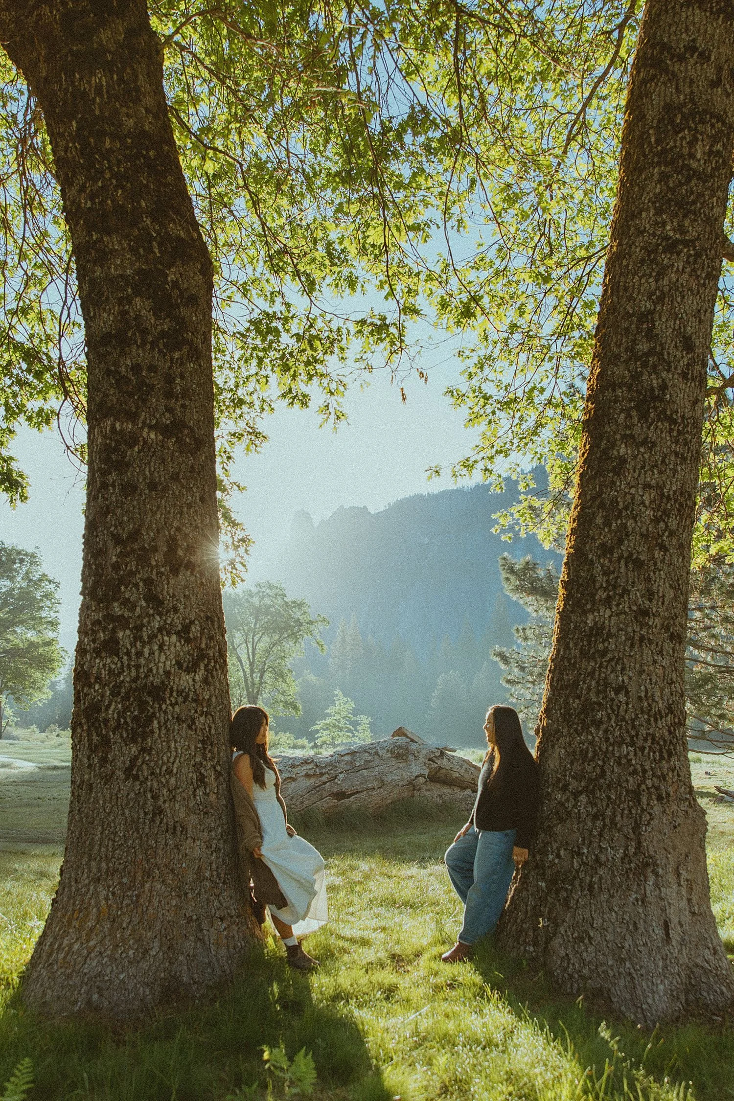 yosemite-engagement-photos_1803.jpg