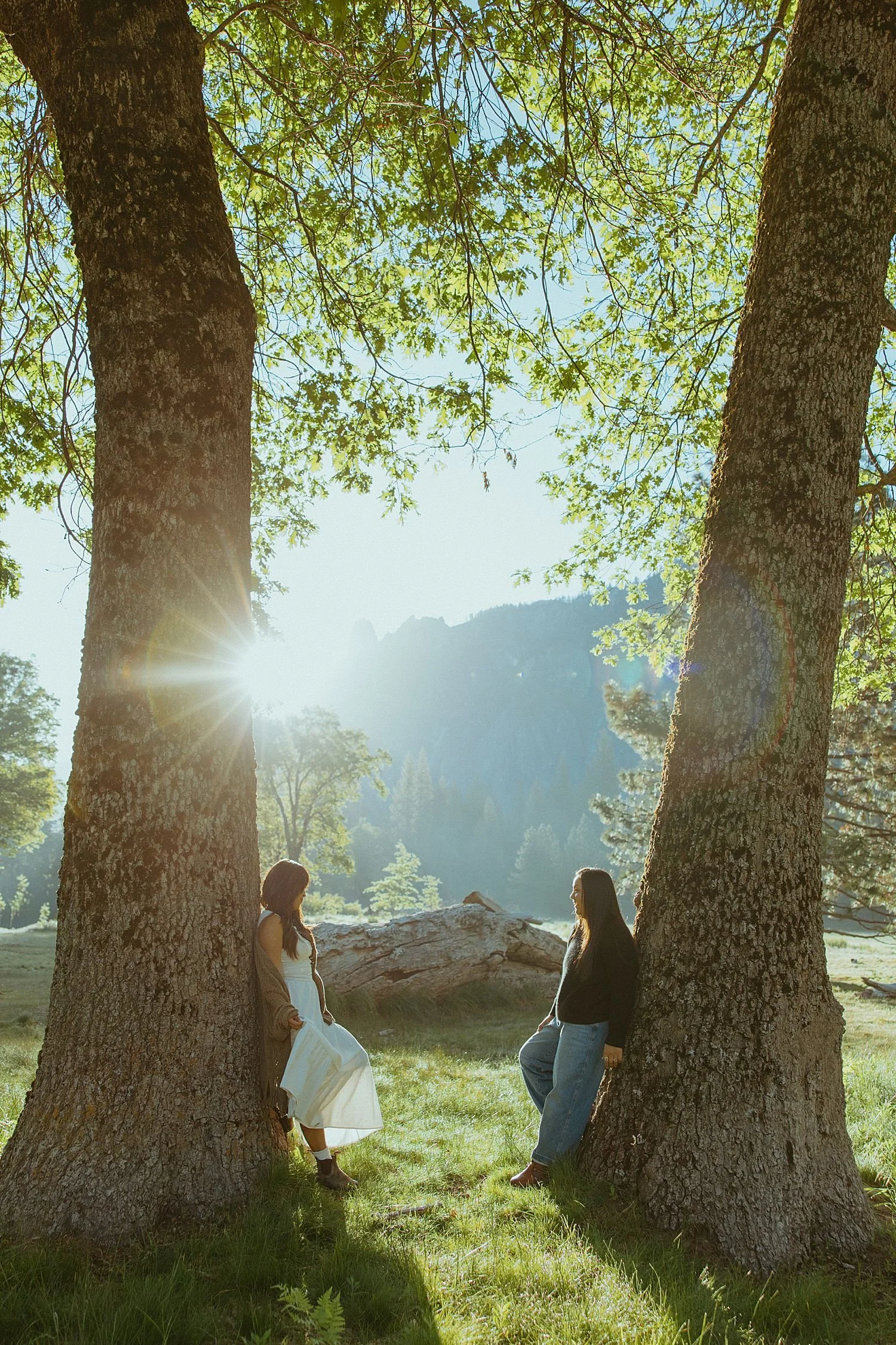 yosemite-engagement-photos_1804.jpg