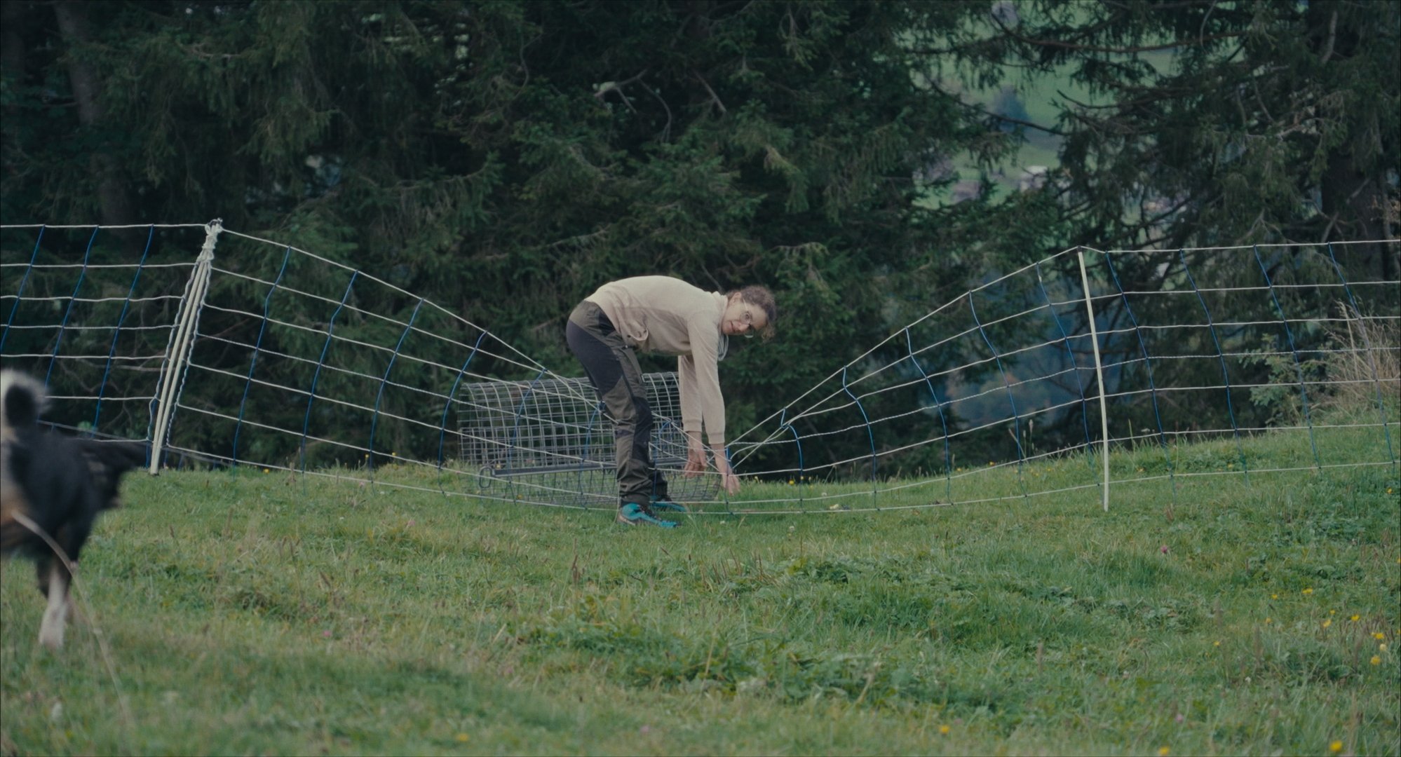 Still 2026-03-03 182632_1.1.78.jpg