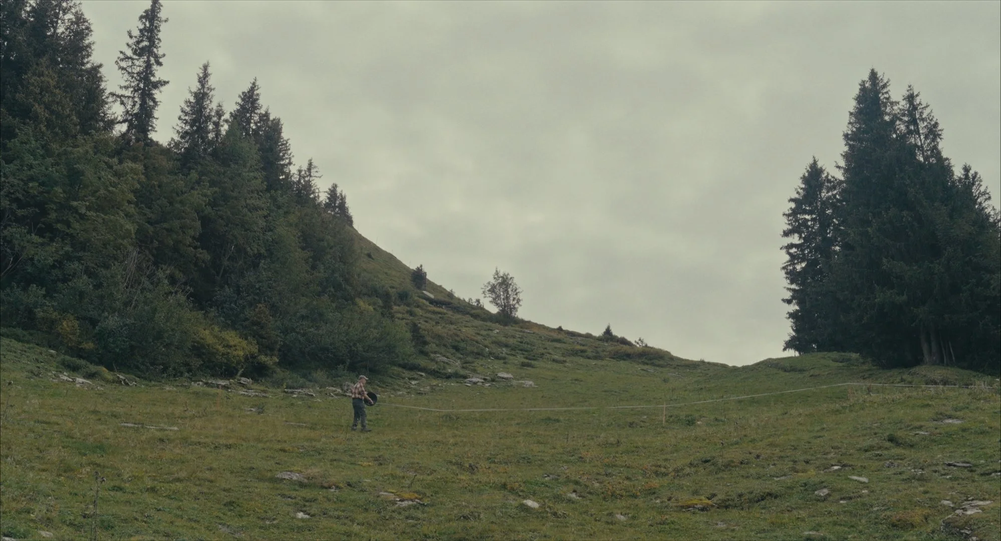 Still 2026-03-03 182632_1.1.26.jpg