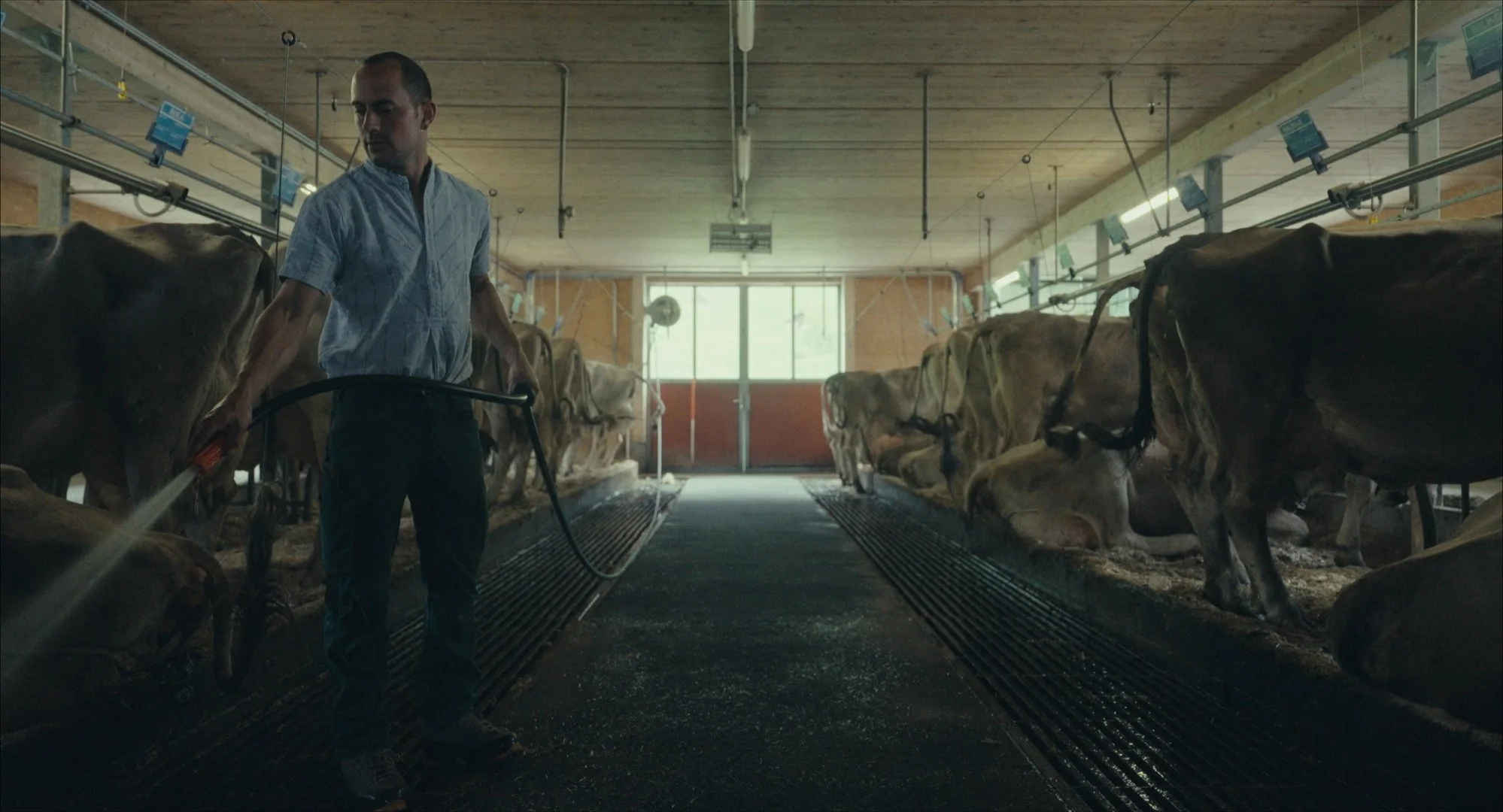 Still 2026-03-03 182632_1.1.10.jpg