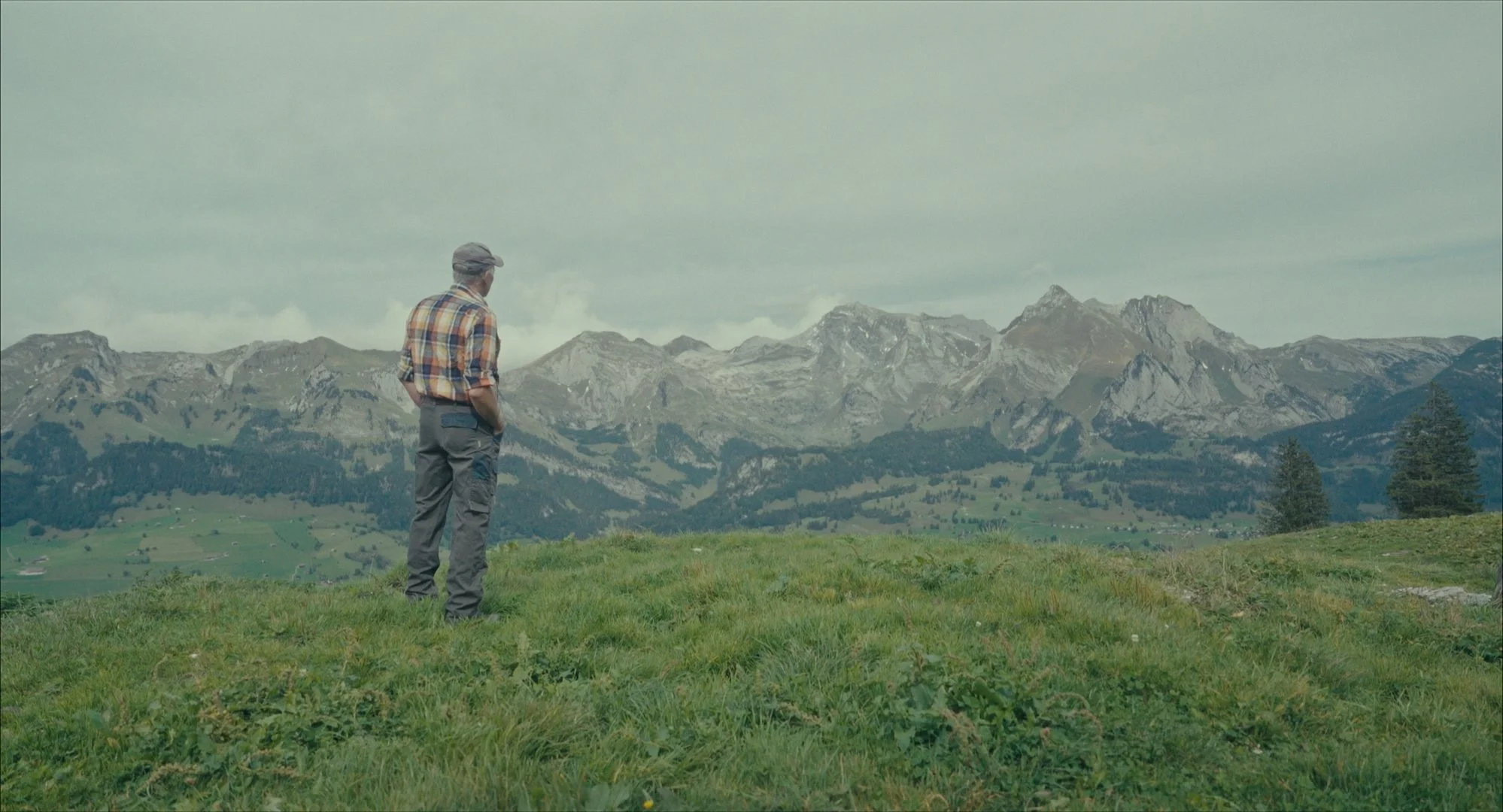 Still 2026-03-03 182632_1.1.58.jpg