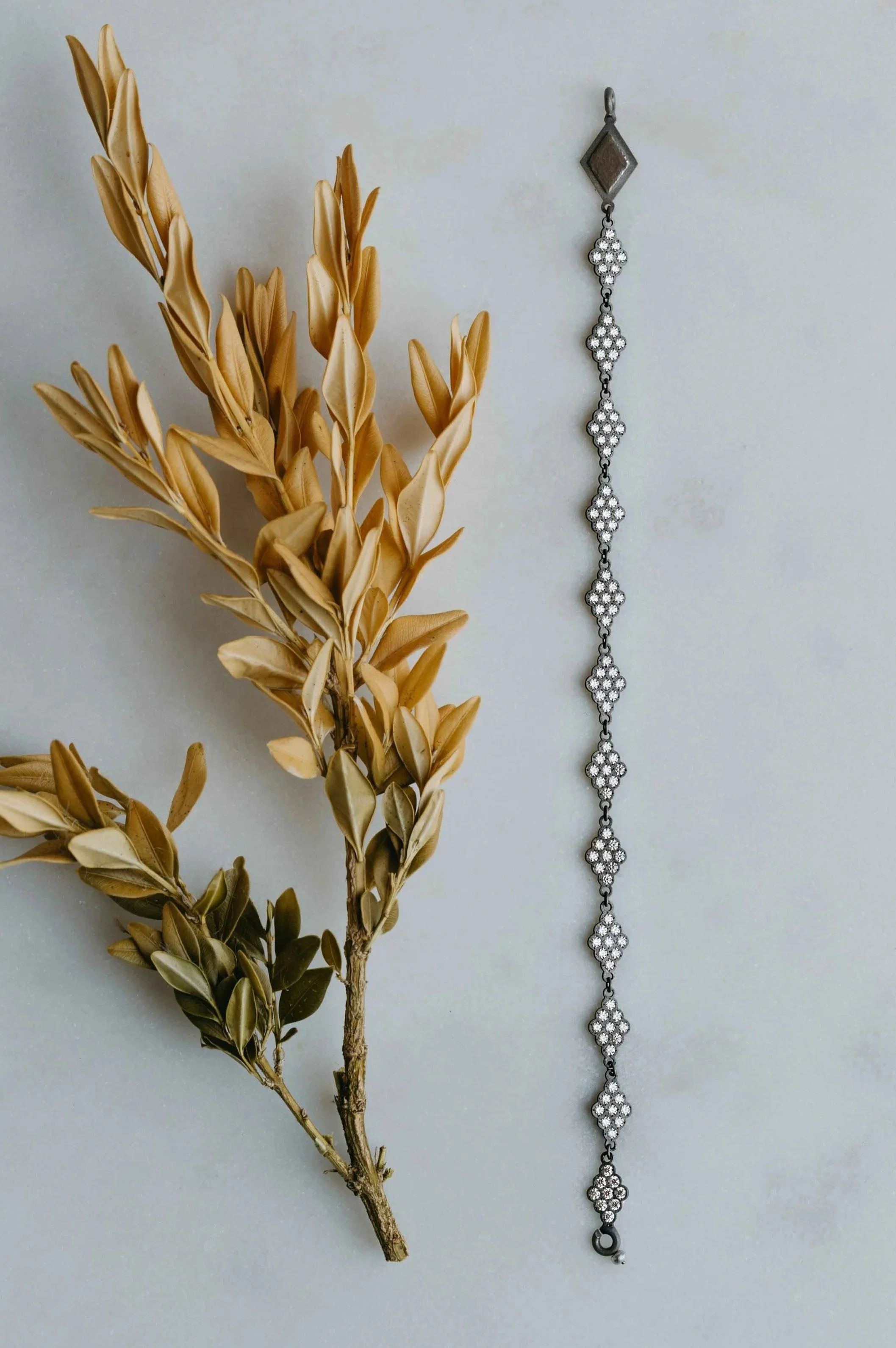 A sprig of dried, brown leaves and multiple stems, alongside a long, silver bracelet with flower-shaped clusters of white stones, laid on a light-colored surface.