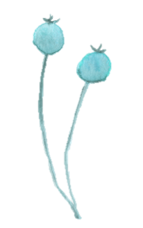 turq bobbles.png