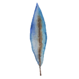 blue brown feather.png