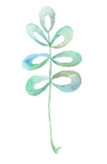 blue green leaf.png