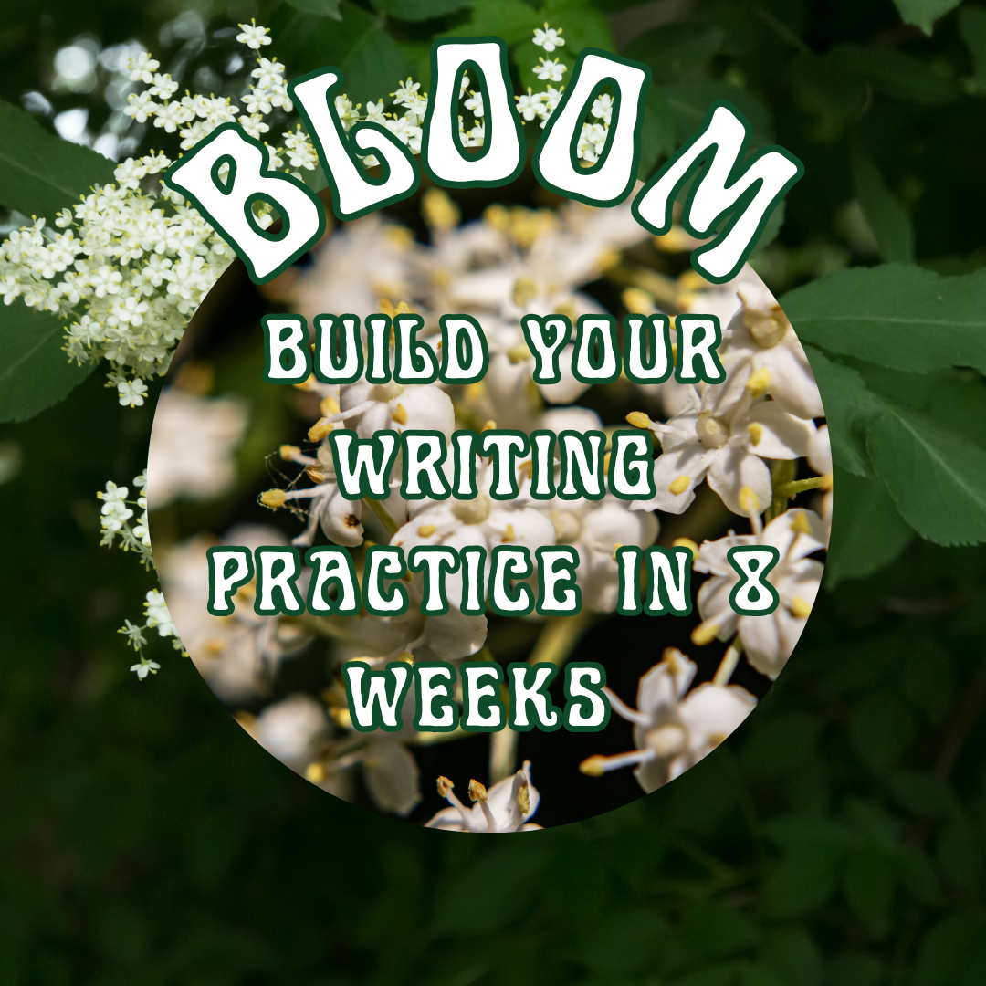 Learn More Bloom Group Coaching — Roots and Branches