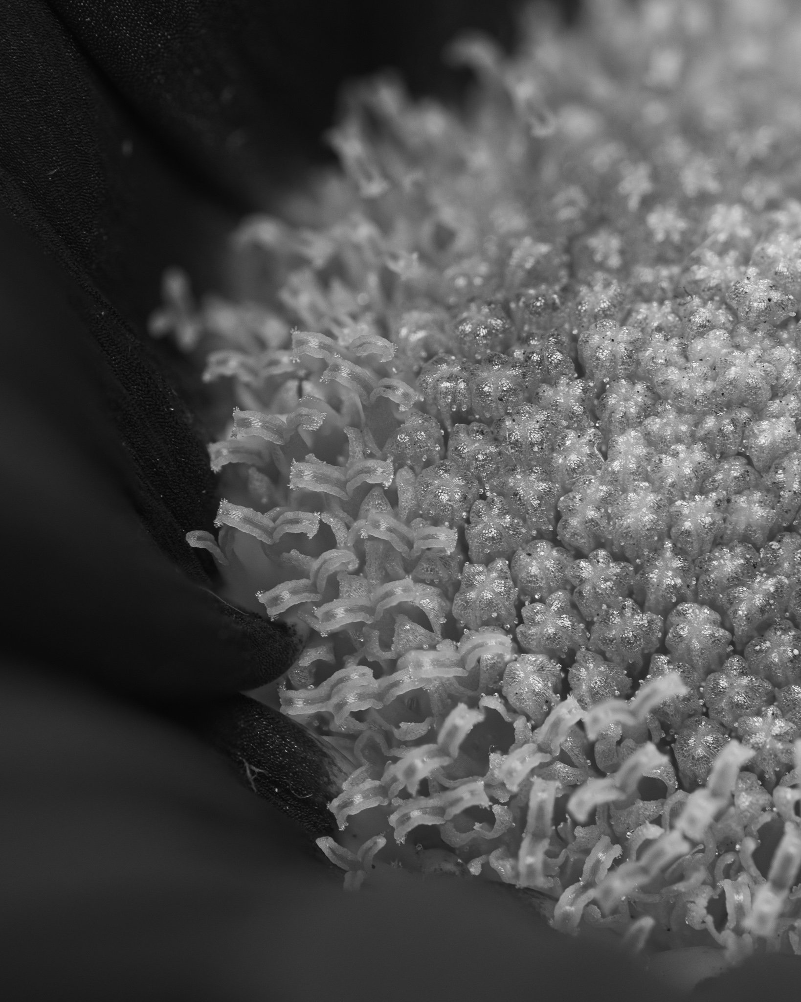 2025-11-18 10-49-45 (B,R8,S4).jpg