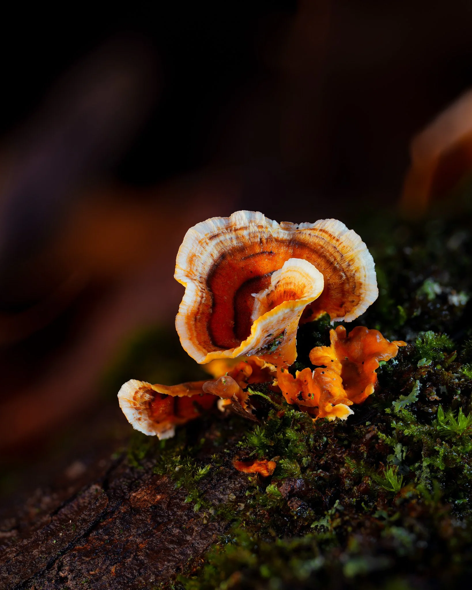 2025-11-27 11-04-14 (B,R8,S4).jpg