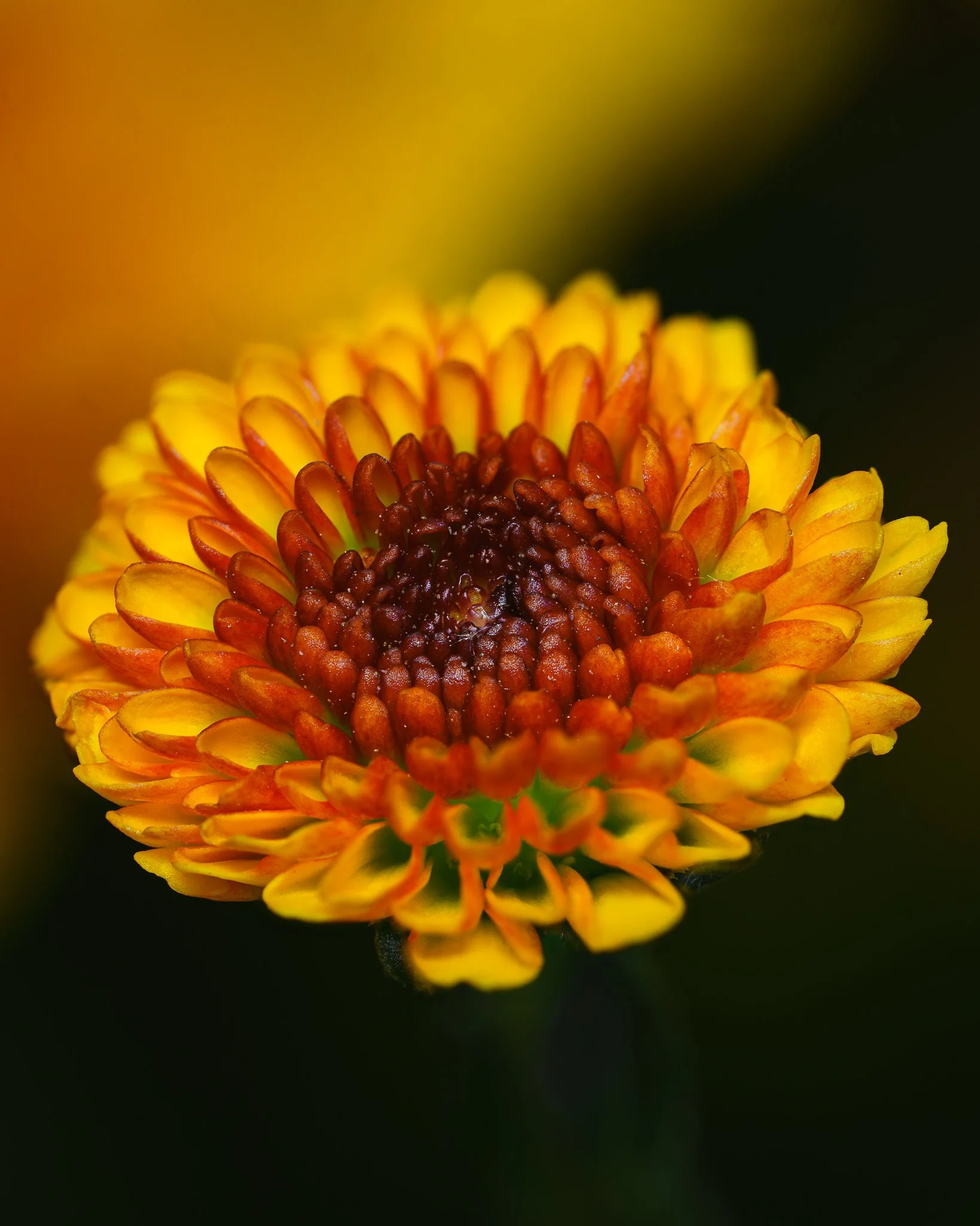 2025-11-18 11-06-55 (B,R8,S4).jpg