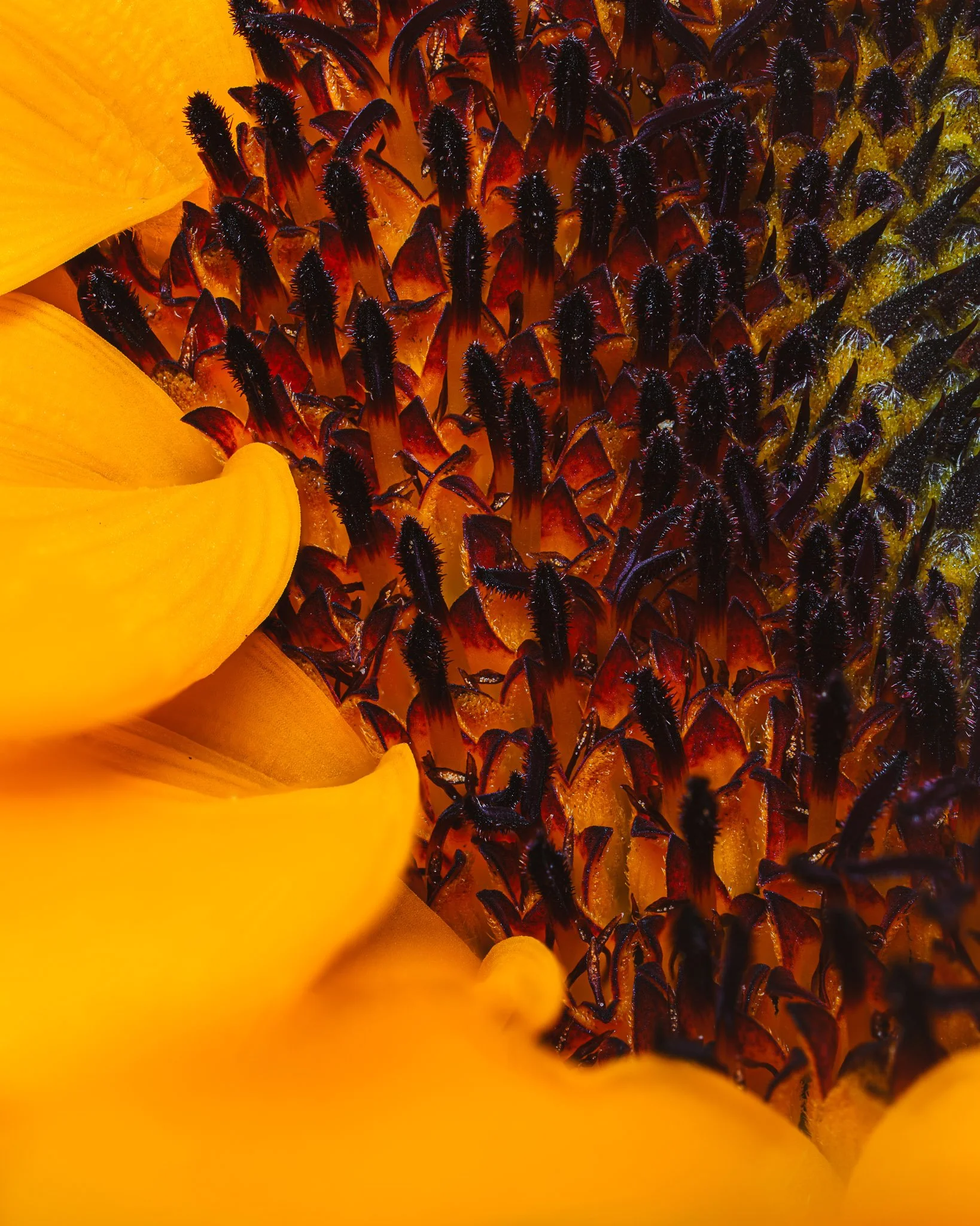 2025-11-14 17-07-12 (B,R8,S4).jpg