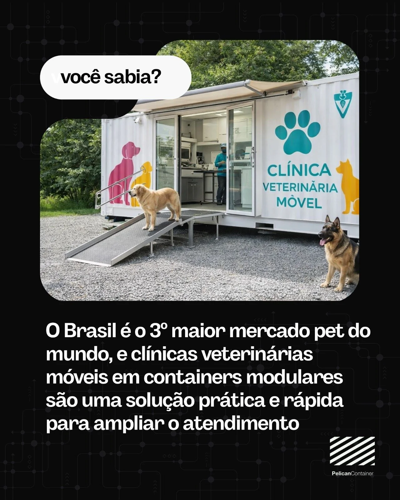 O mercado pet segue em crescimento no Brasil, e soluções inovadoras acompanham essa demanda.