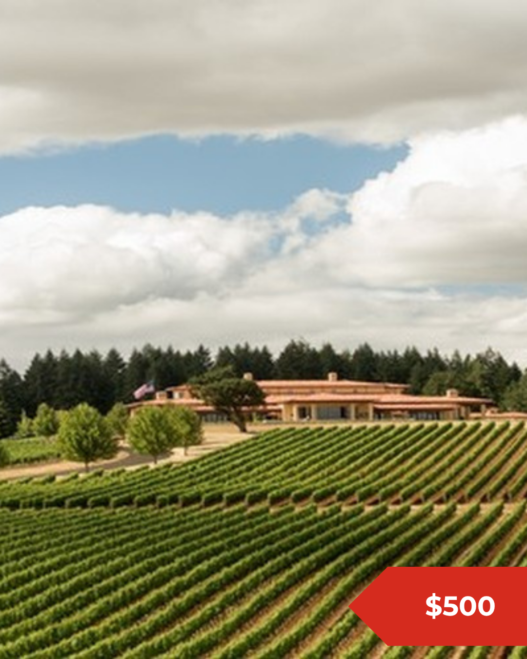 A Tasting at Domaine Serene