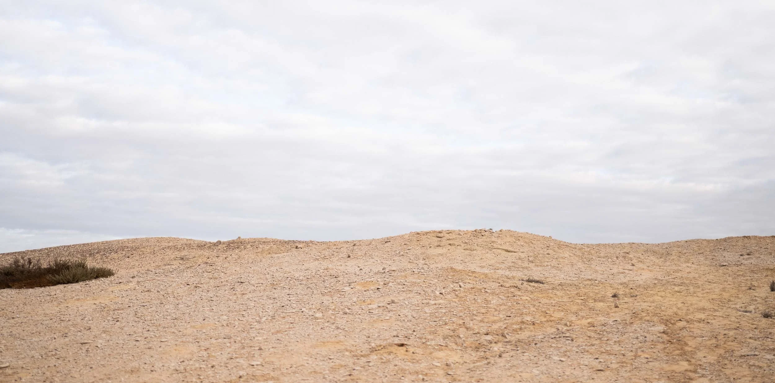 Lenten Study Option: Wisdom in the Desert